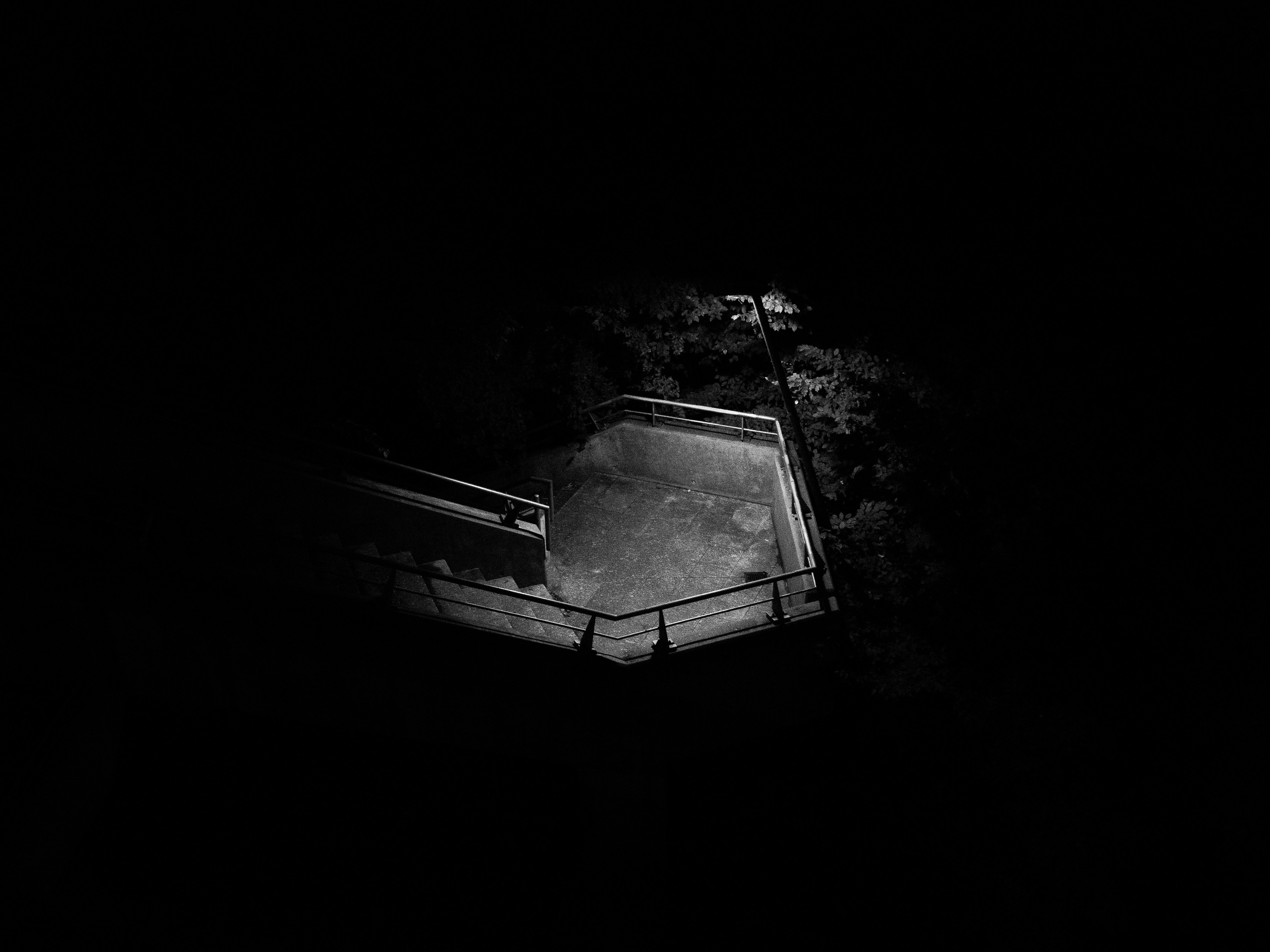 Photo by karim_fox_photography