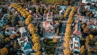 a city with many buildings and trees