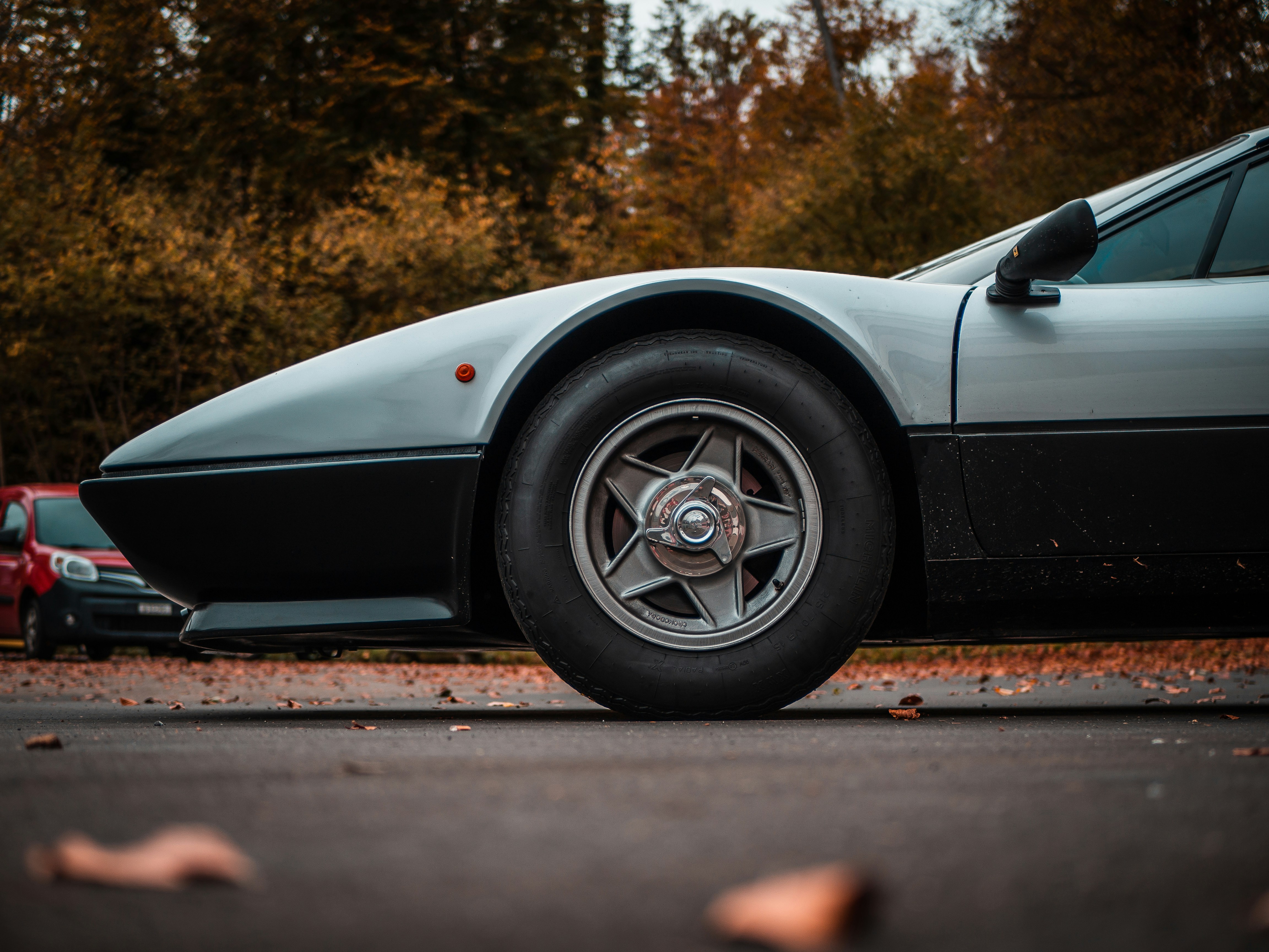 Photo by karim_fox_photography