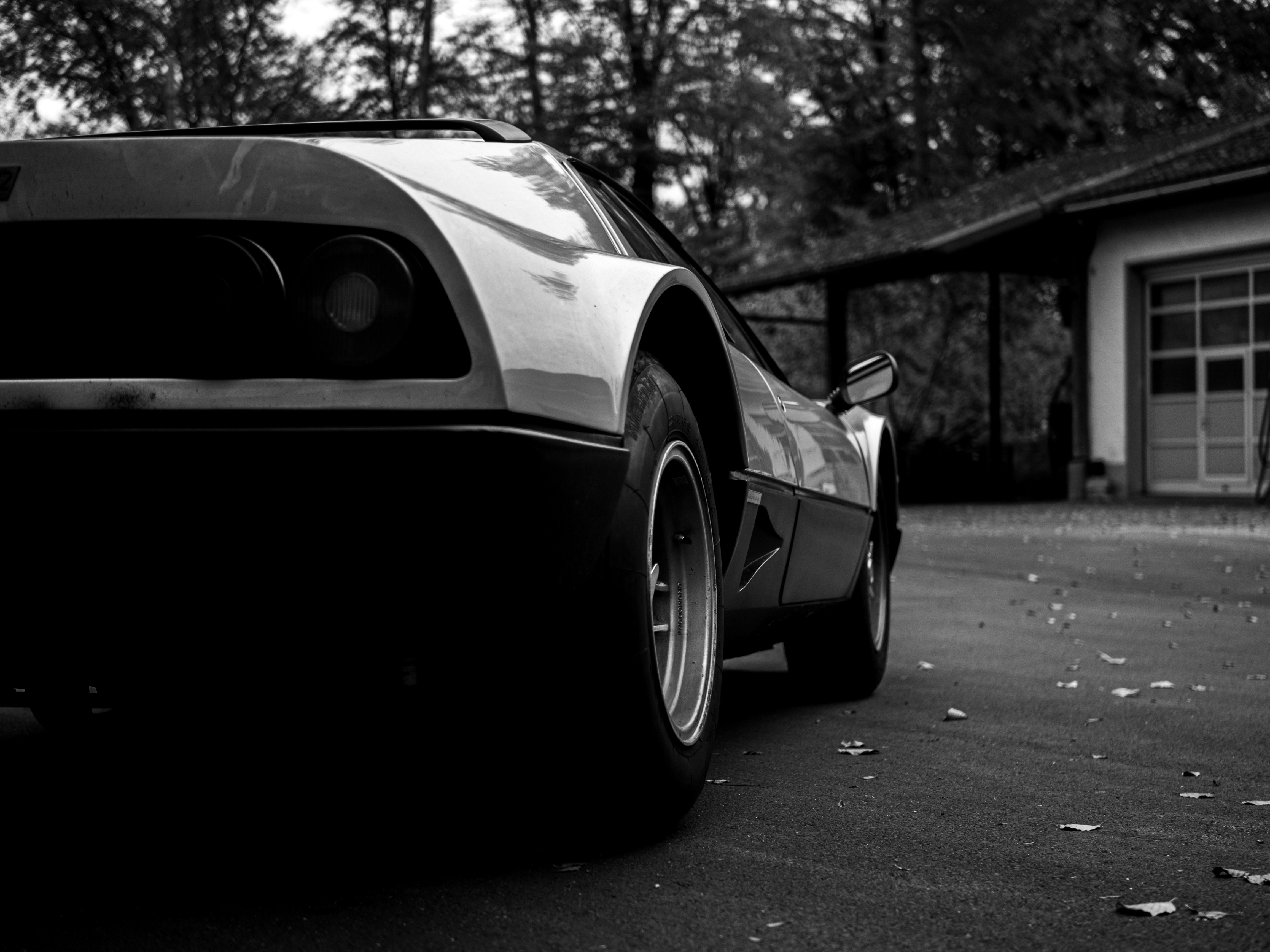 Photo by karim_fox_photography