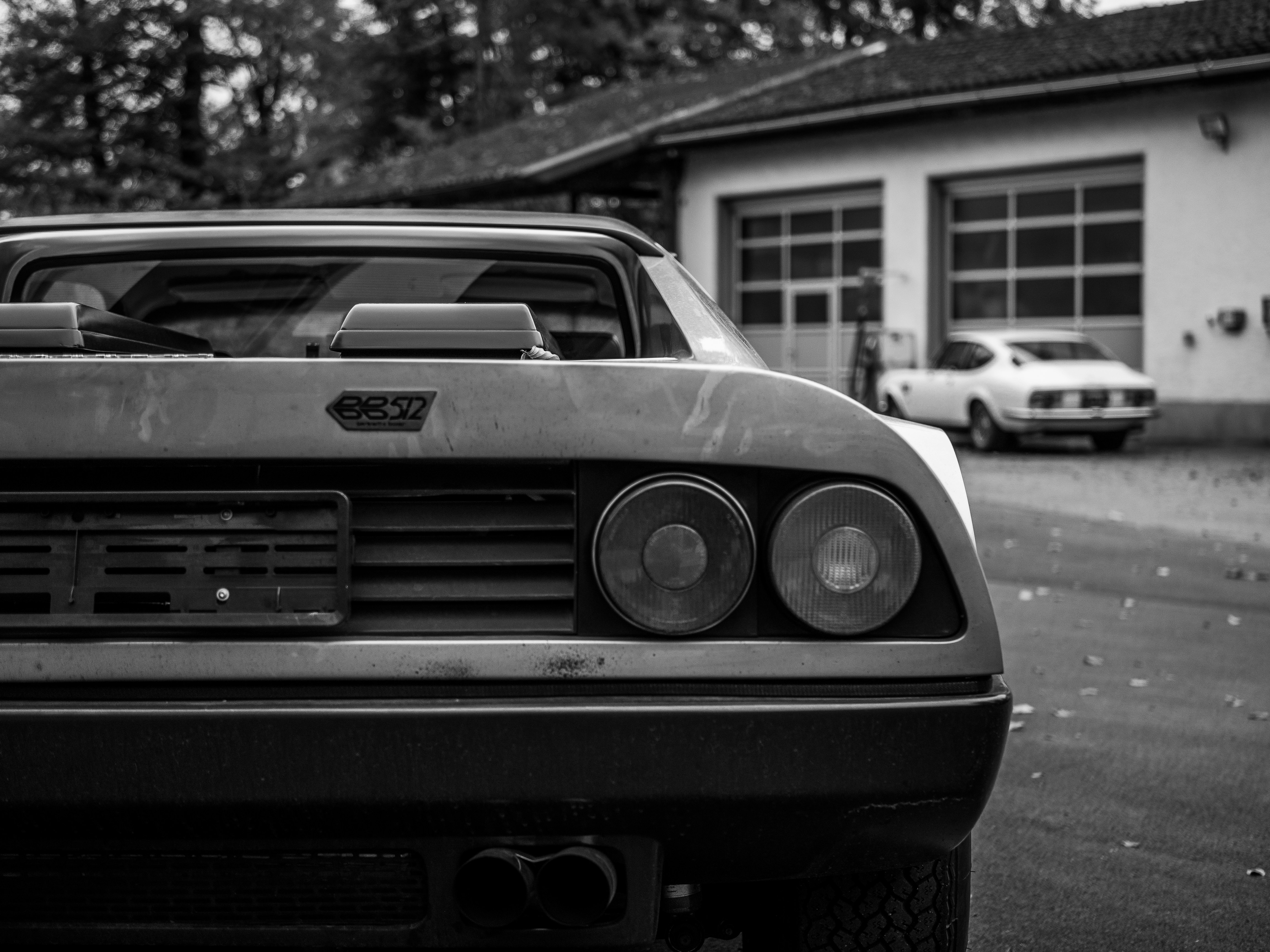 Photo by karim_fox_photography