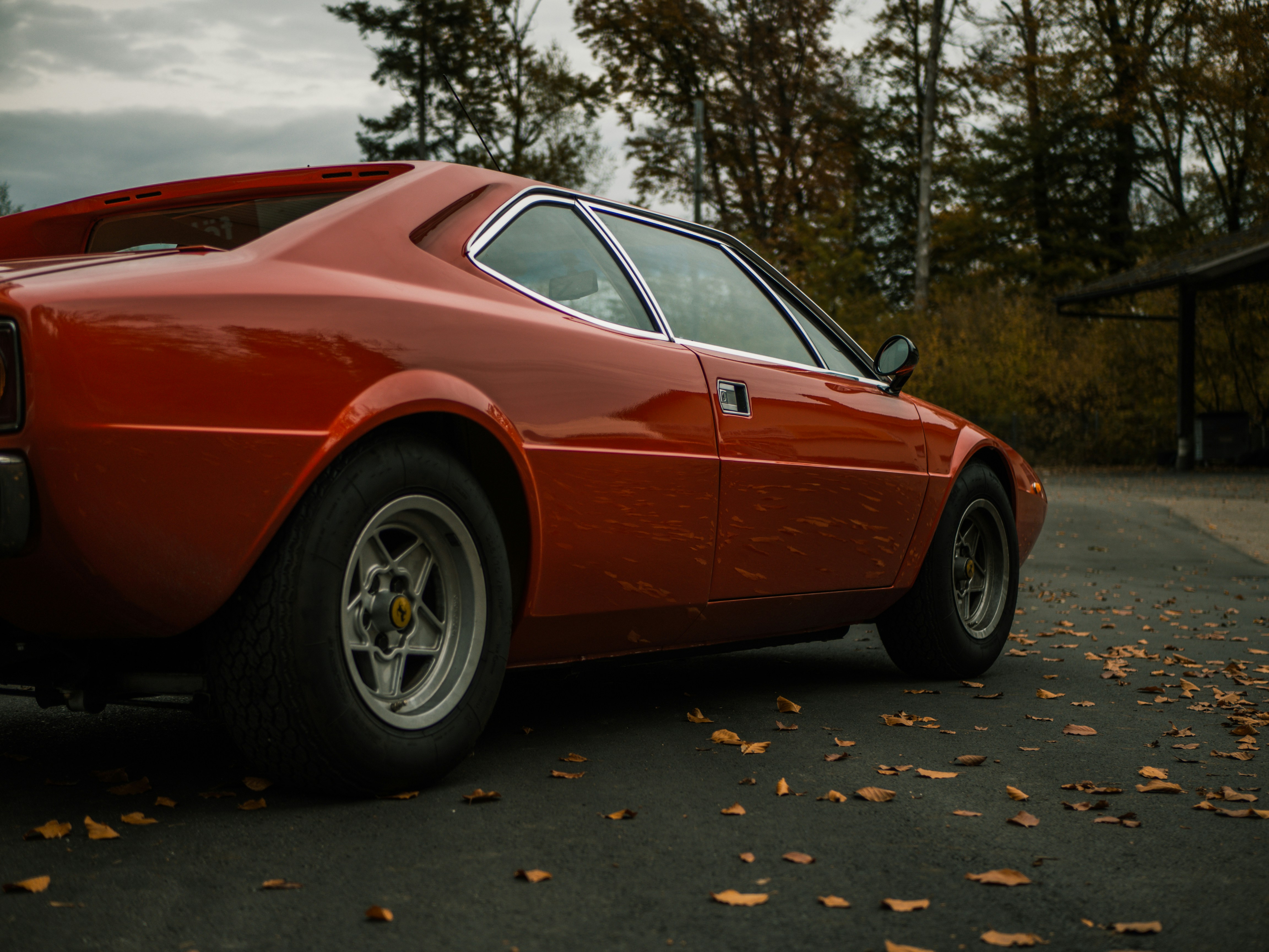 Photo by karim_fox_photography