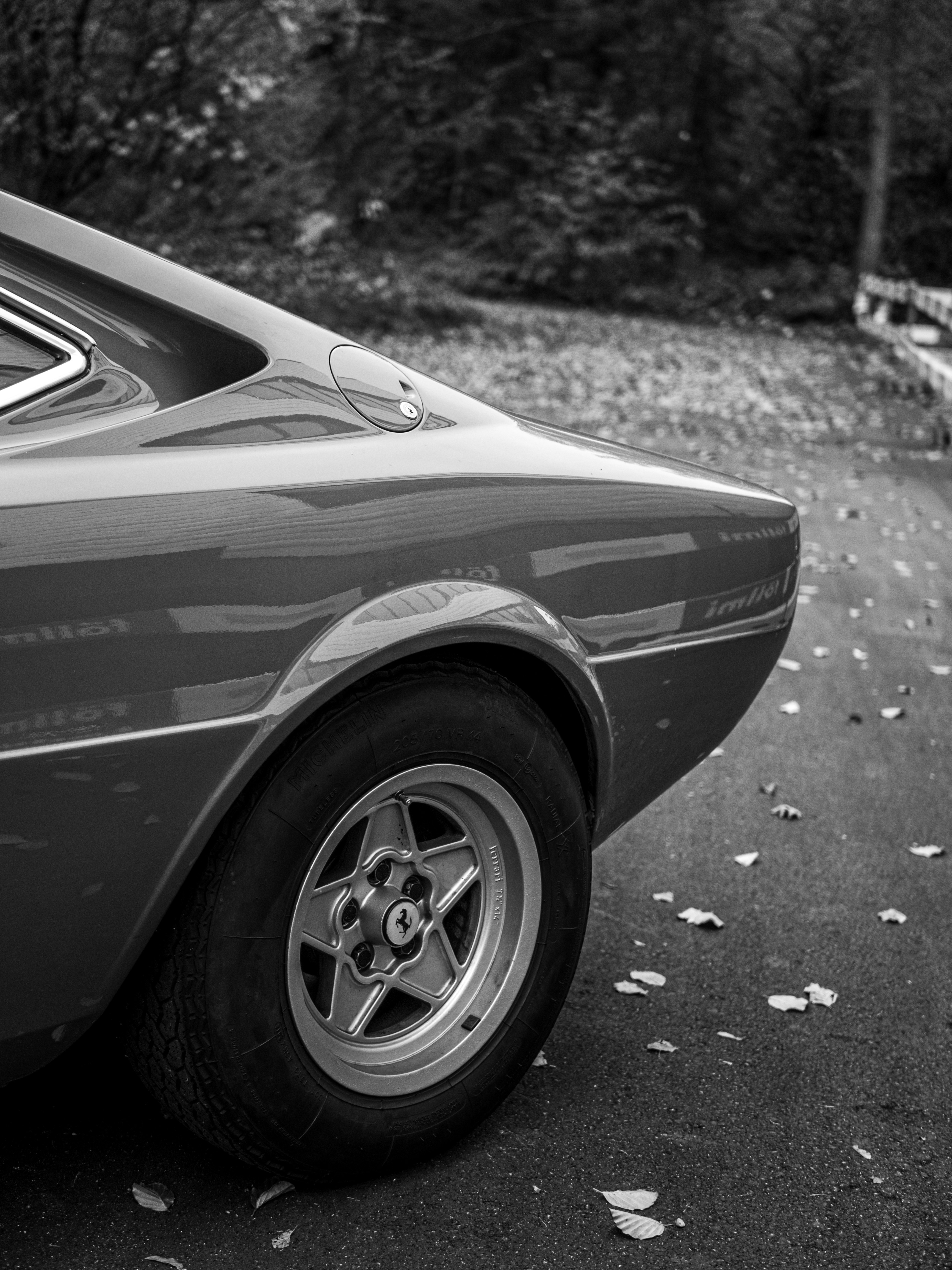 Photo by karim_fox_photography