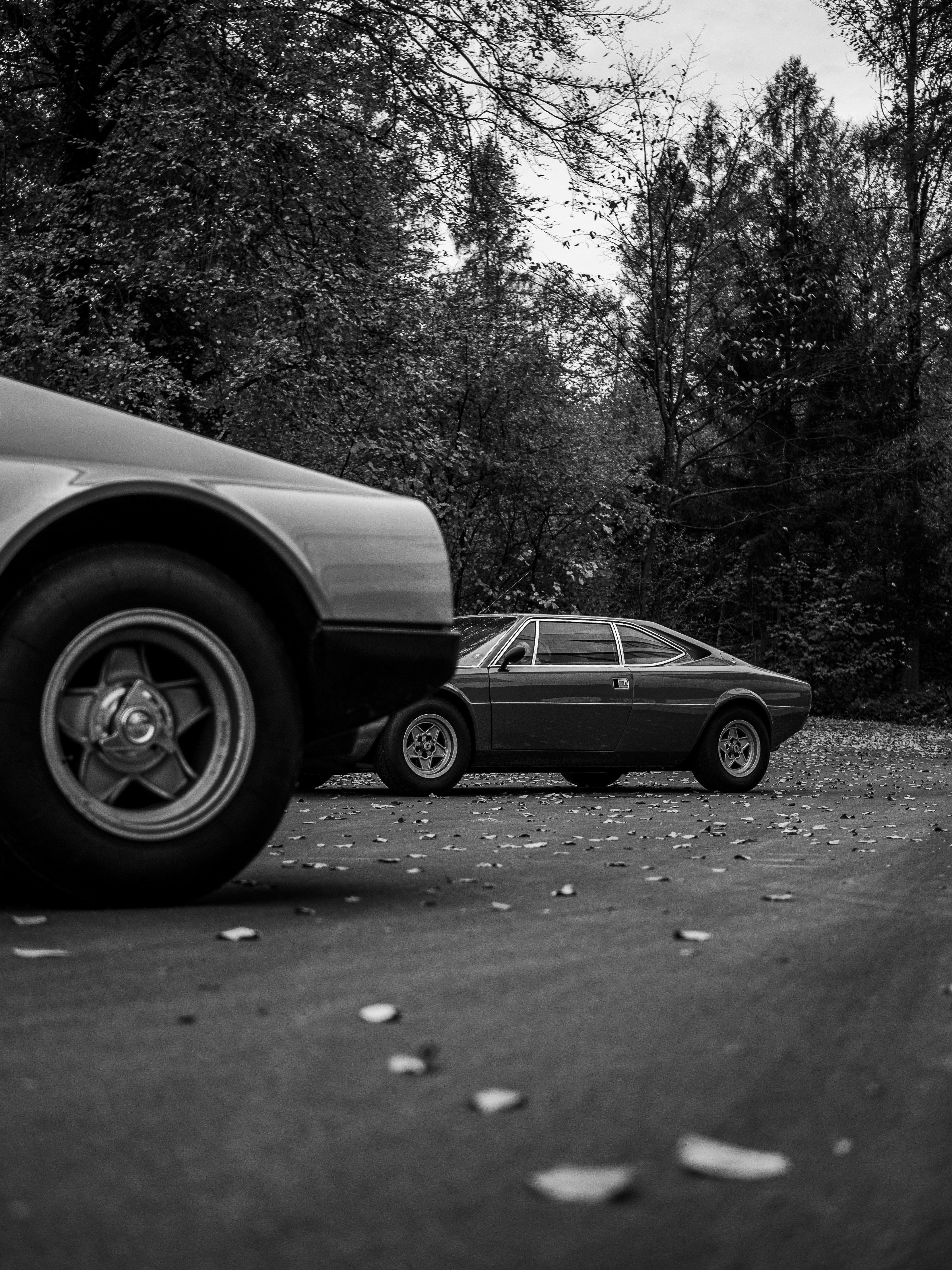 Photo by karim_fox_photography