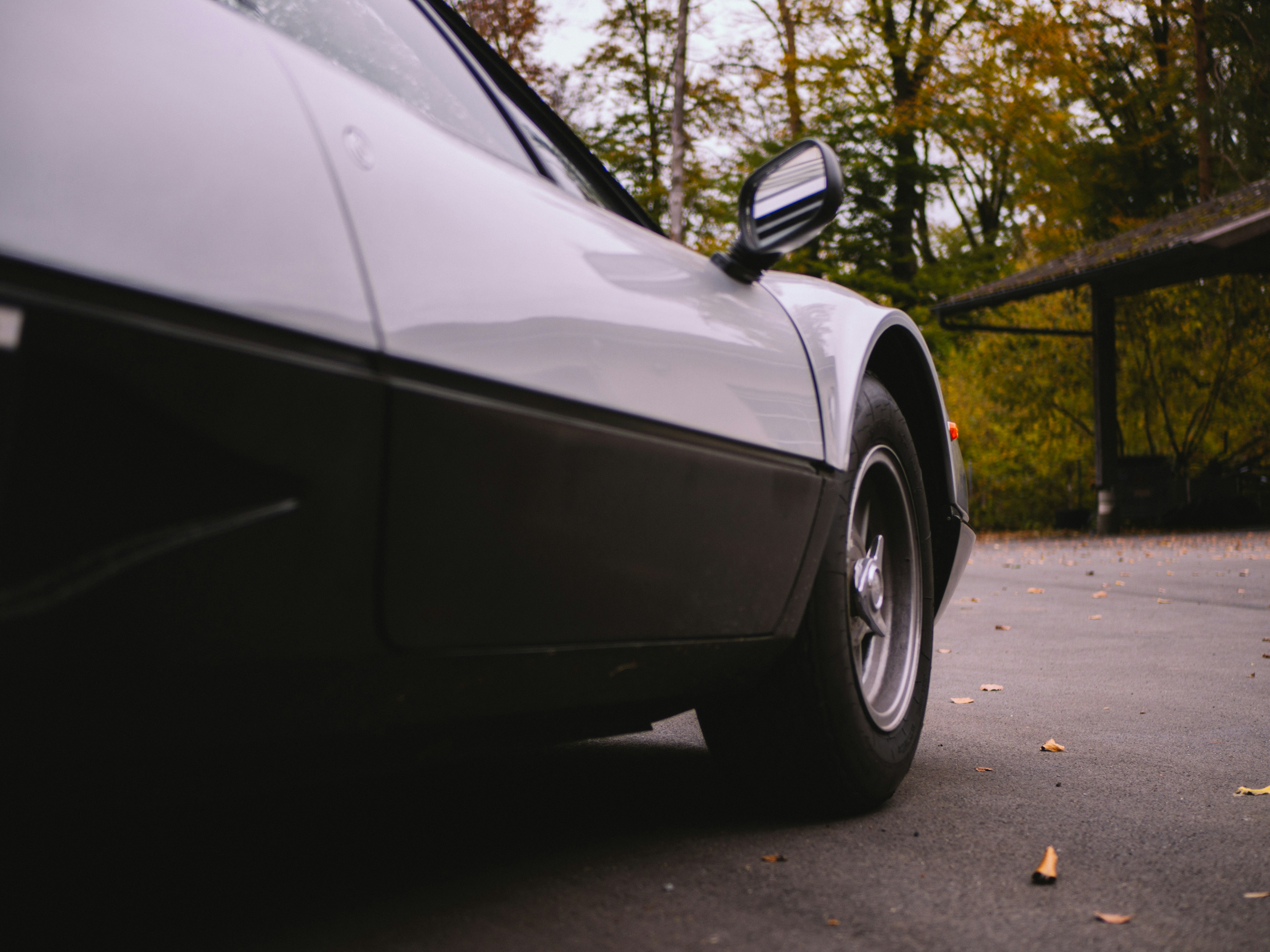 Photo by karim_fox_photography