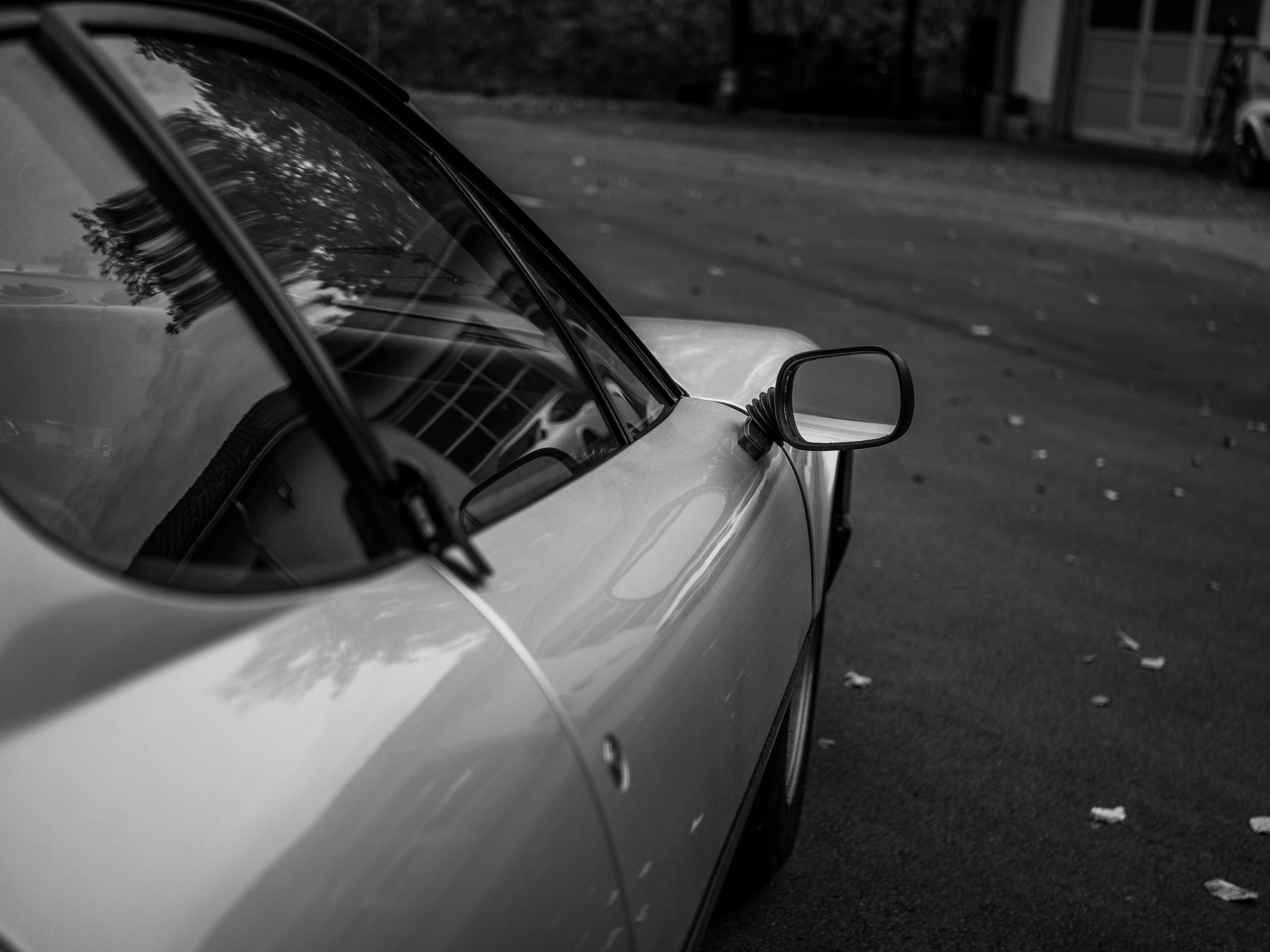 Photo by karim_fox_photography