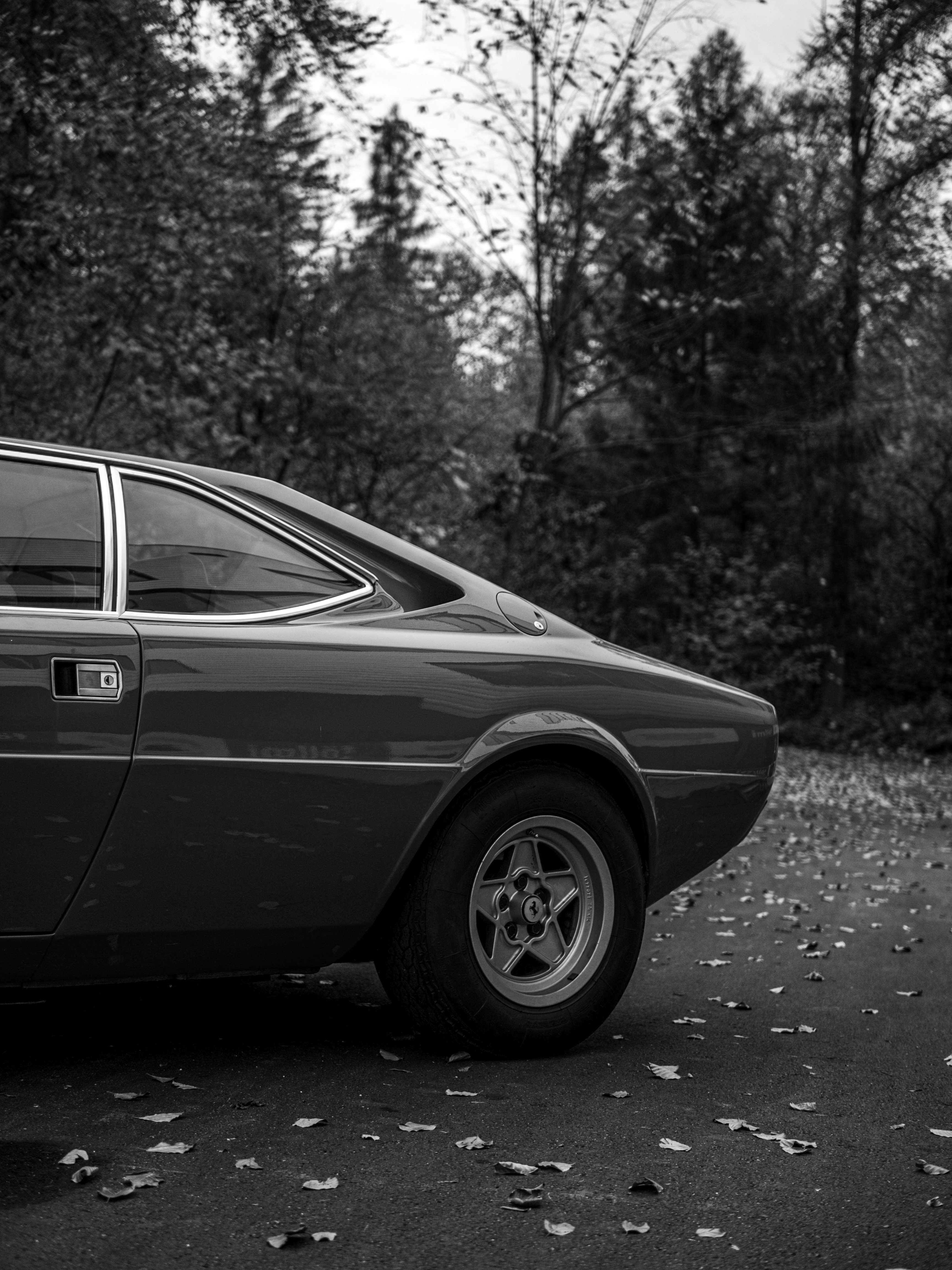 Photo by karim_fox_photography