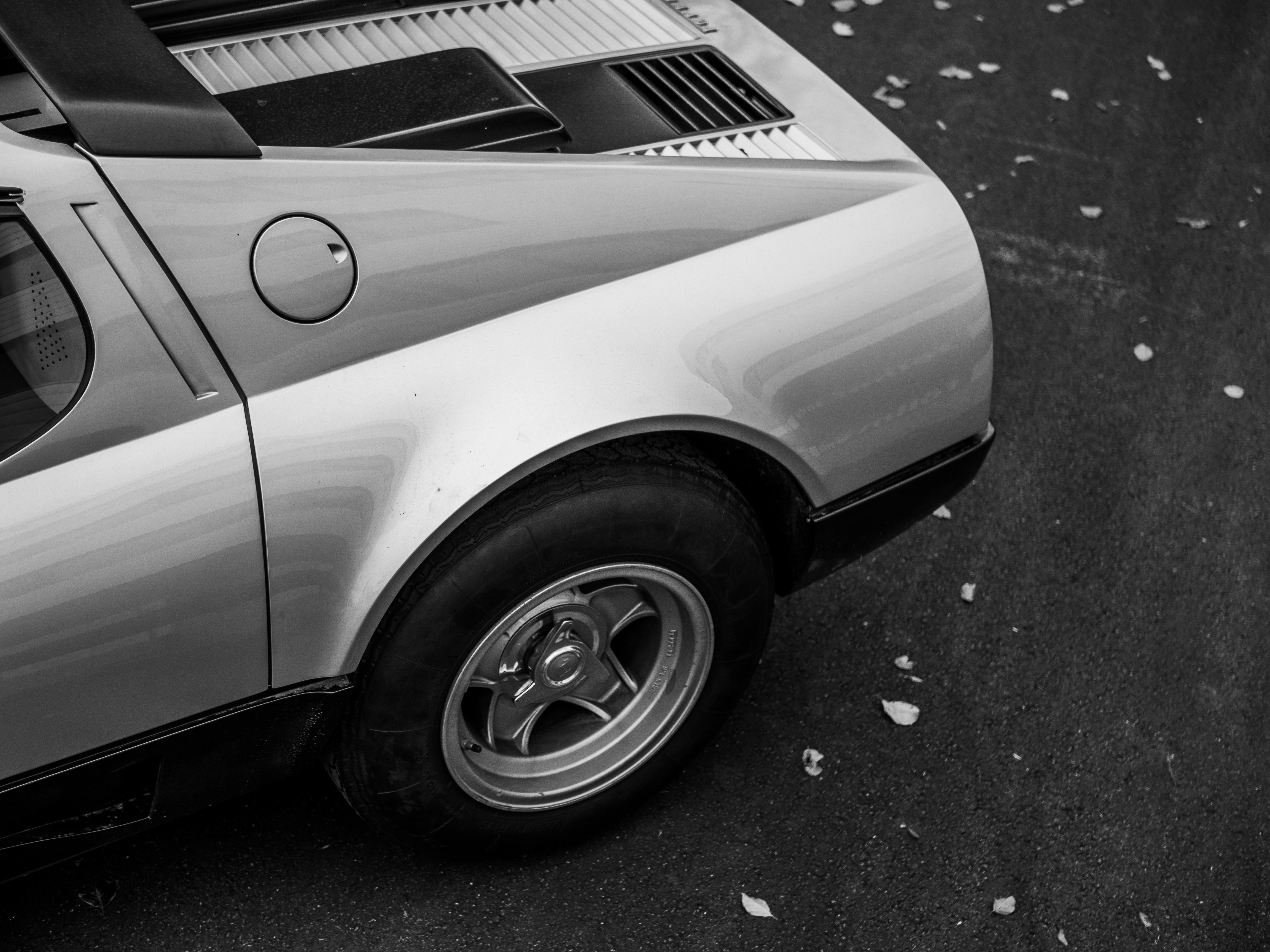 Photo by karim_fox_photography