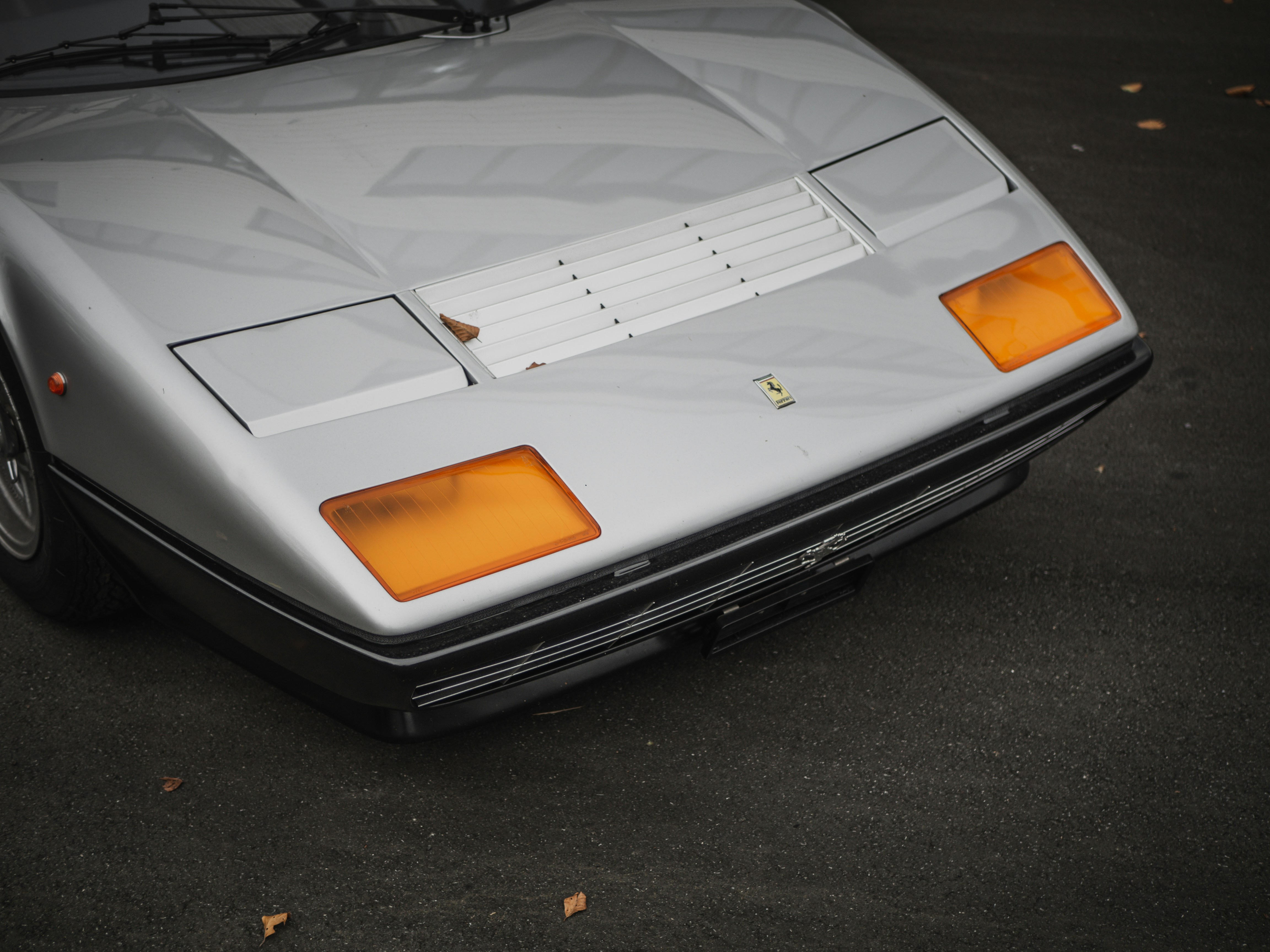 Photo by karim_fox_photography