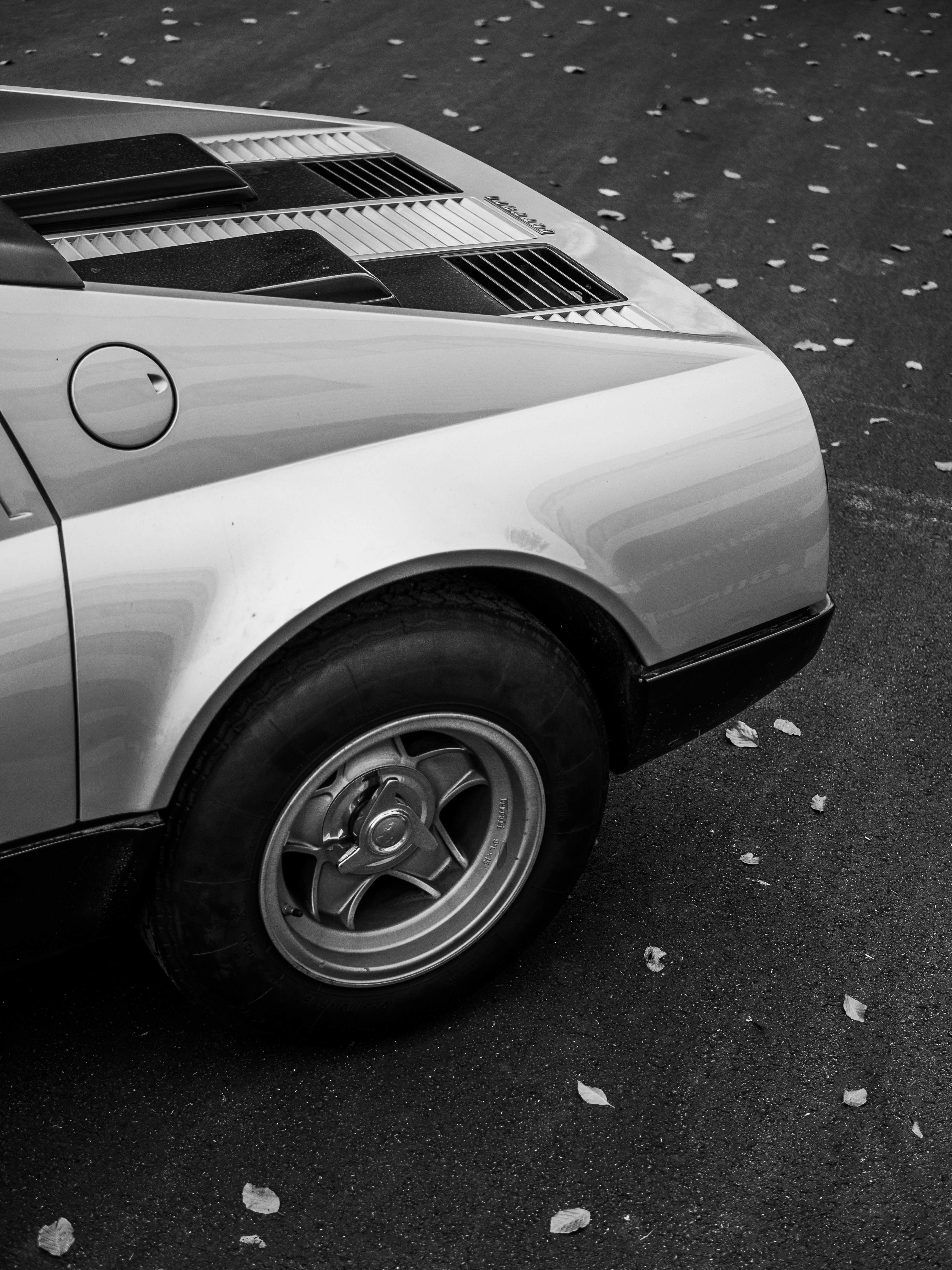 Photo by karim_fox_photography