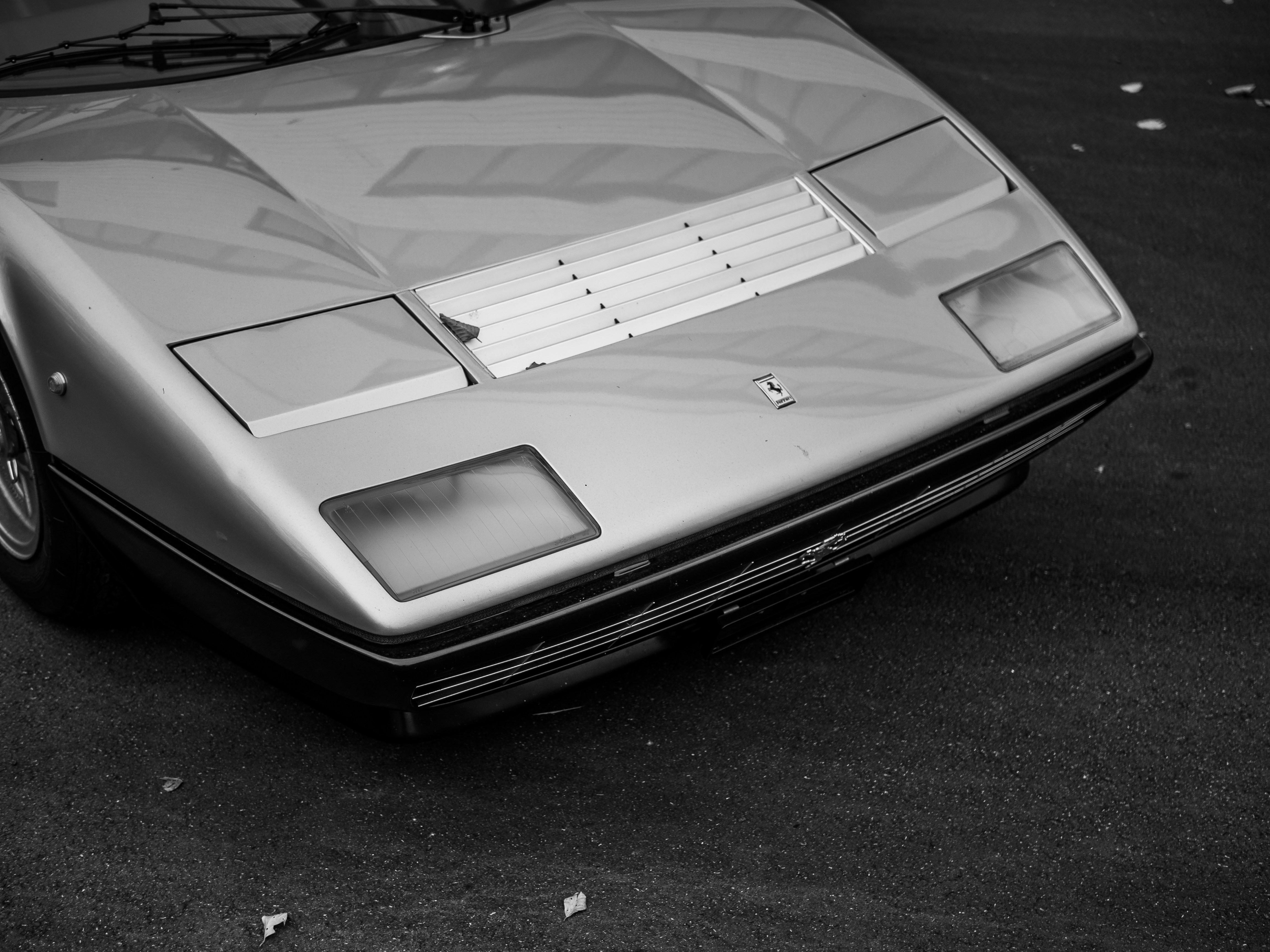 Photo by karim_fox_photography