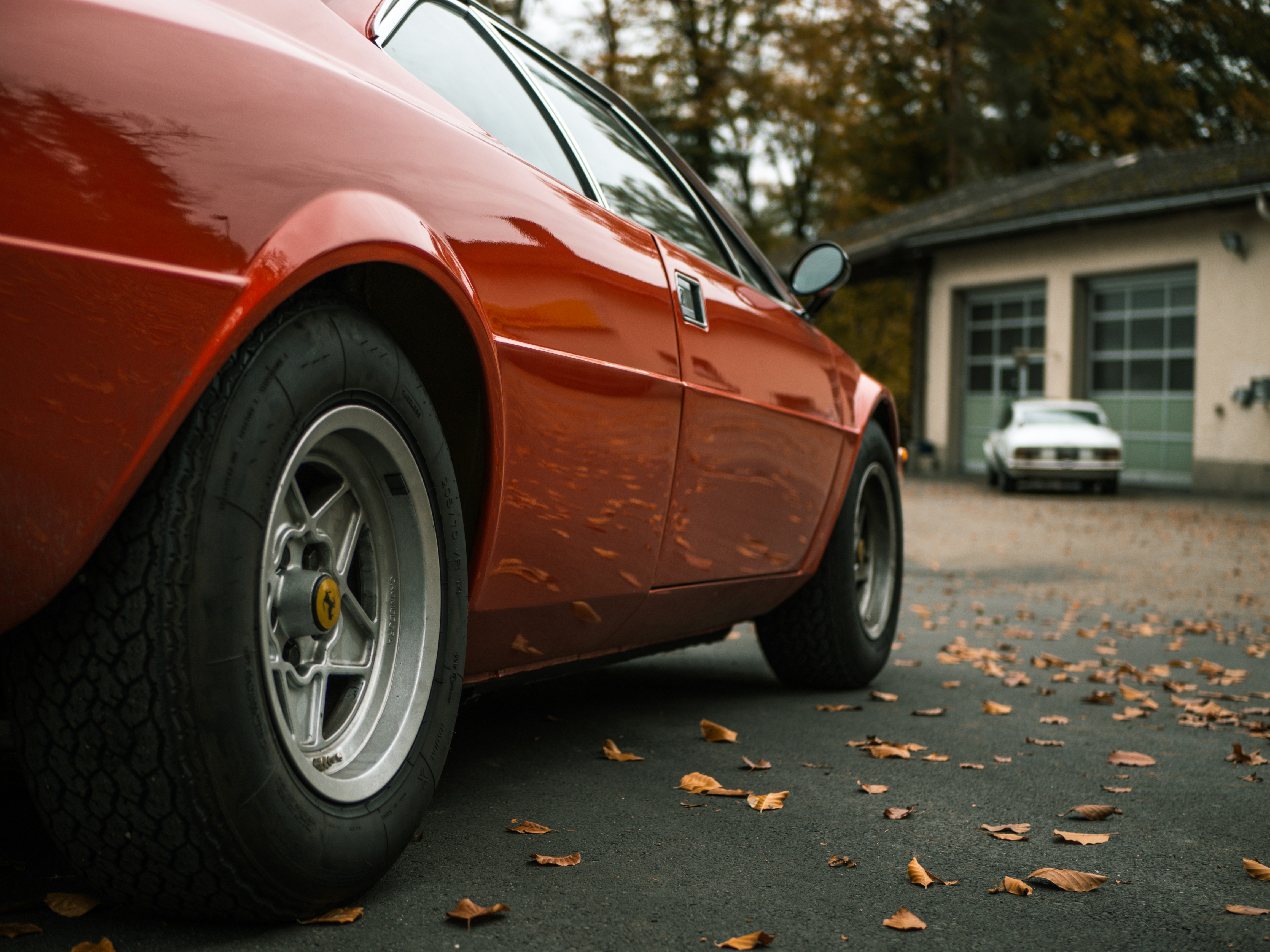 Photo by karim_fox_photography