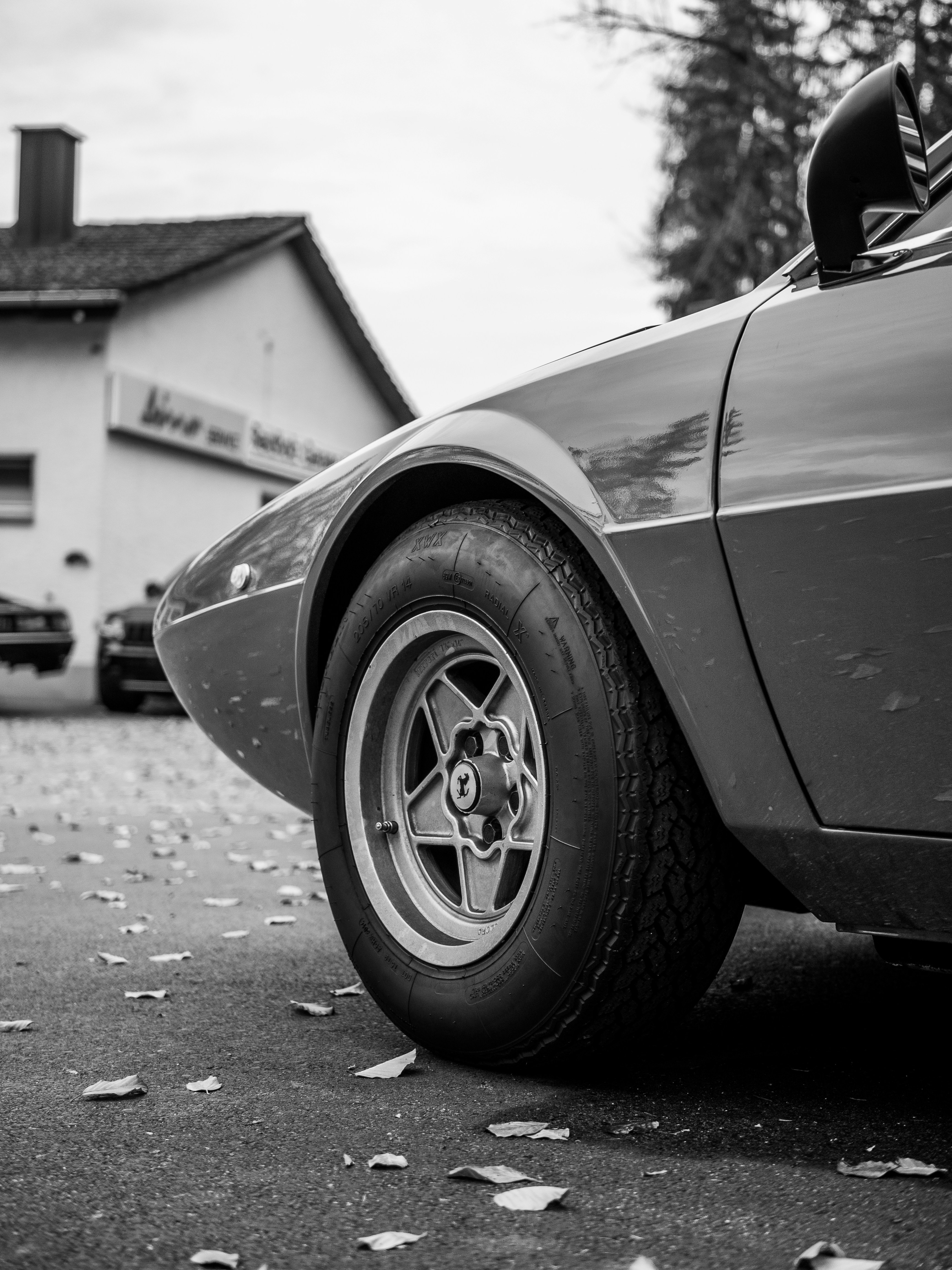 Photo by karim_fox_photography