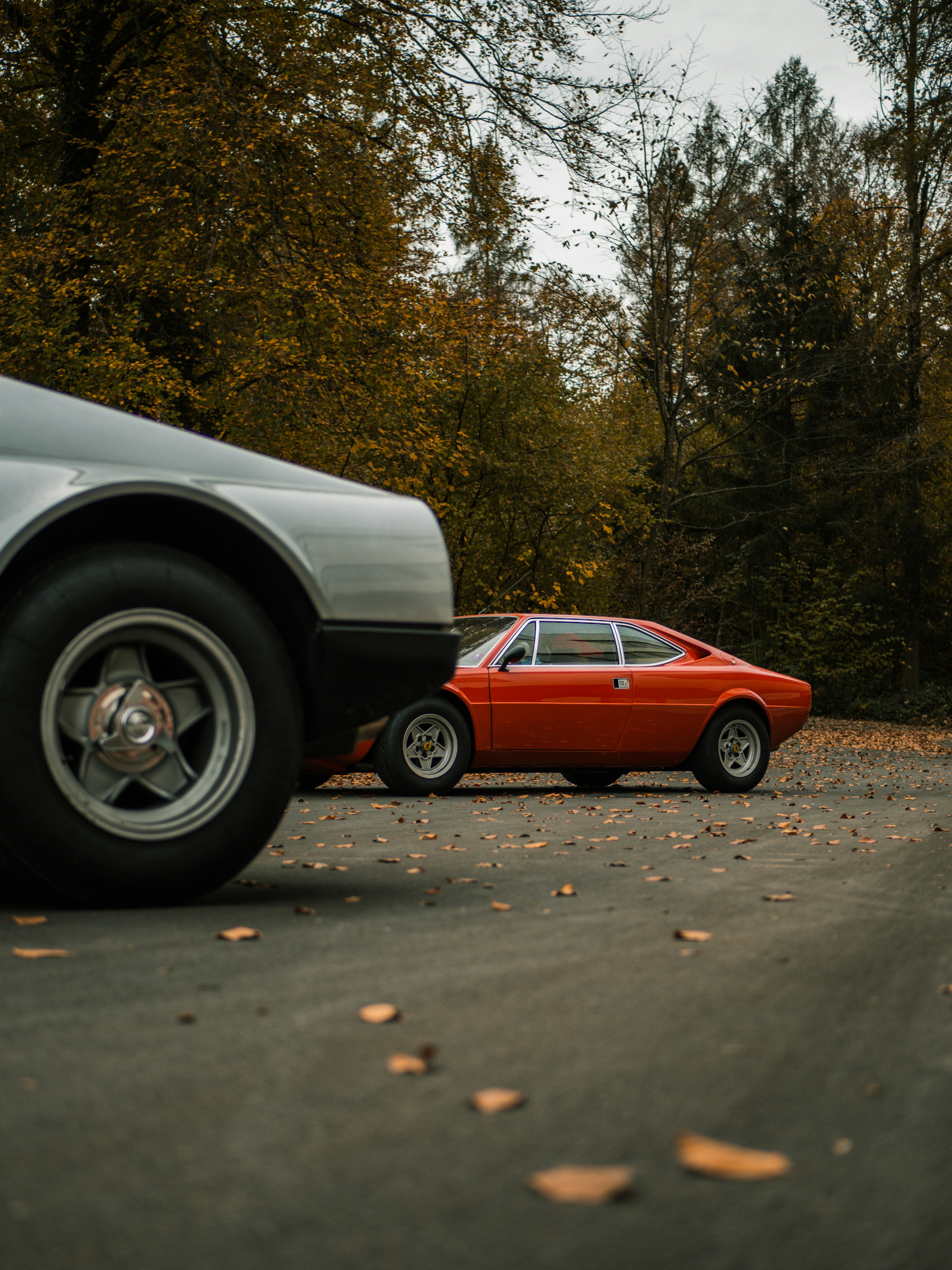 Photo by karim_fox_photography