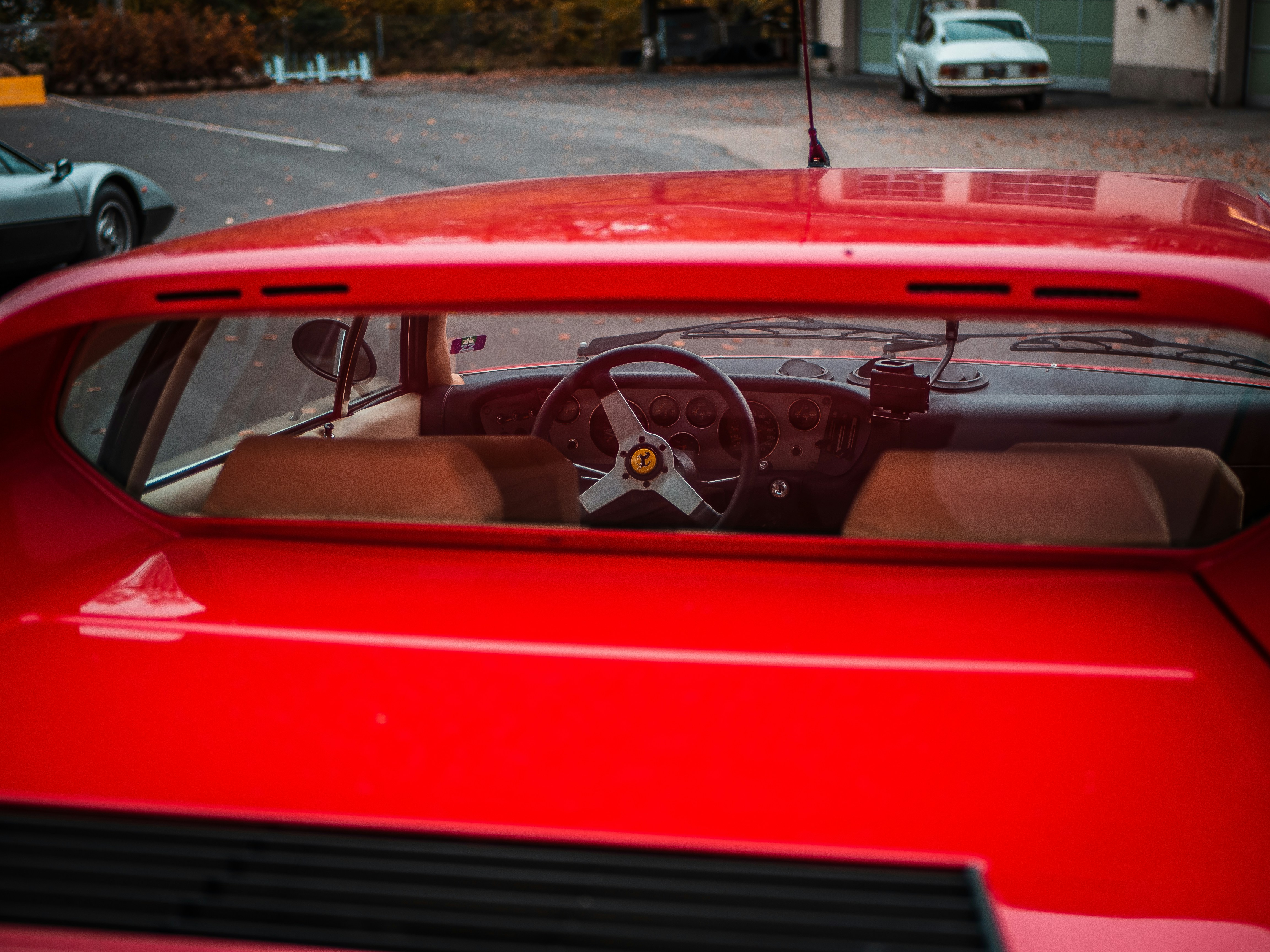 Photo by karim_fox_photography