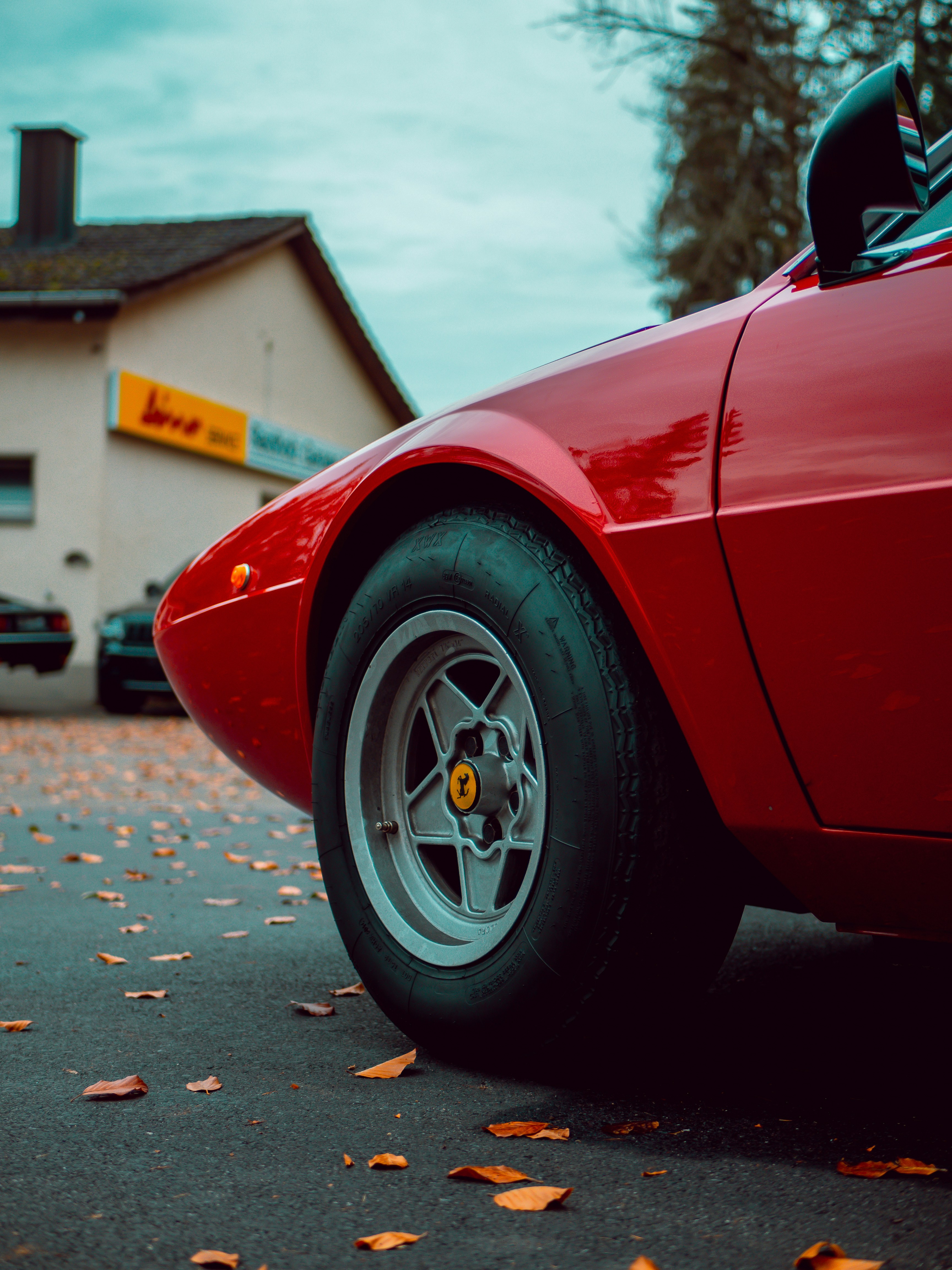 Photo by karim_fox_photography