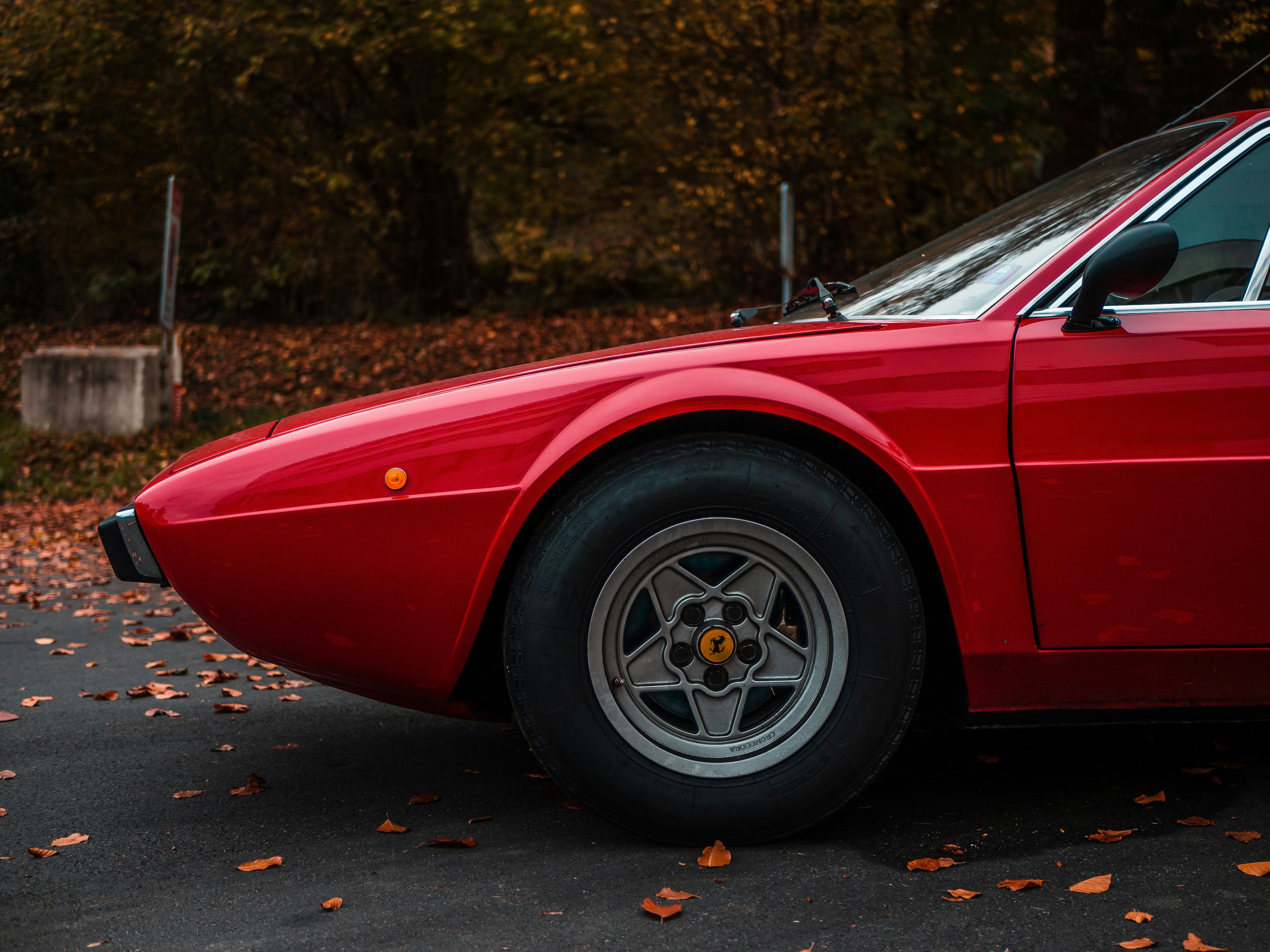 Photo by karim_fox_photography