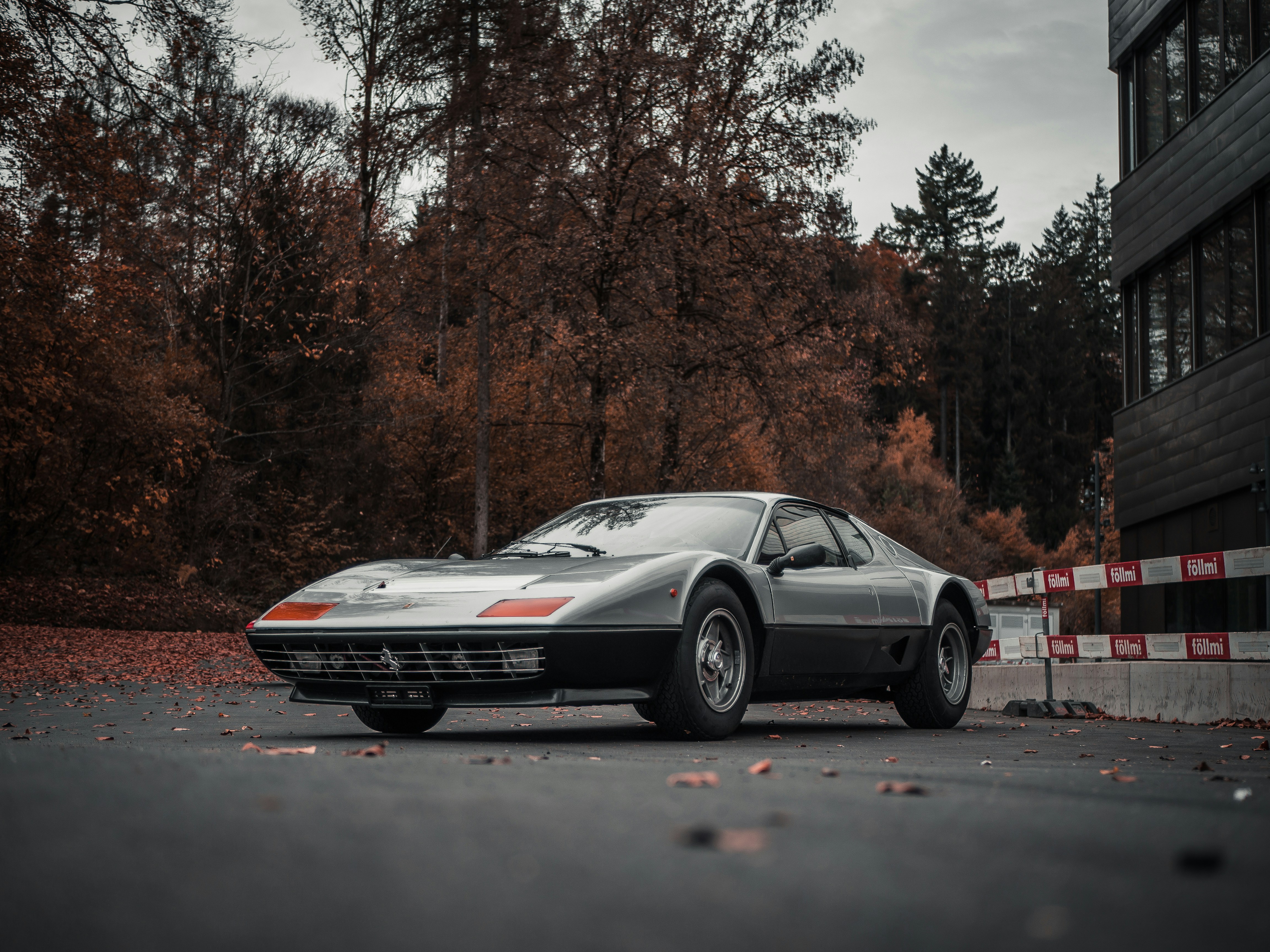 Photo by karim_fox_photography