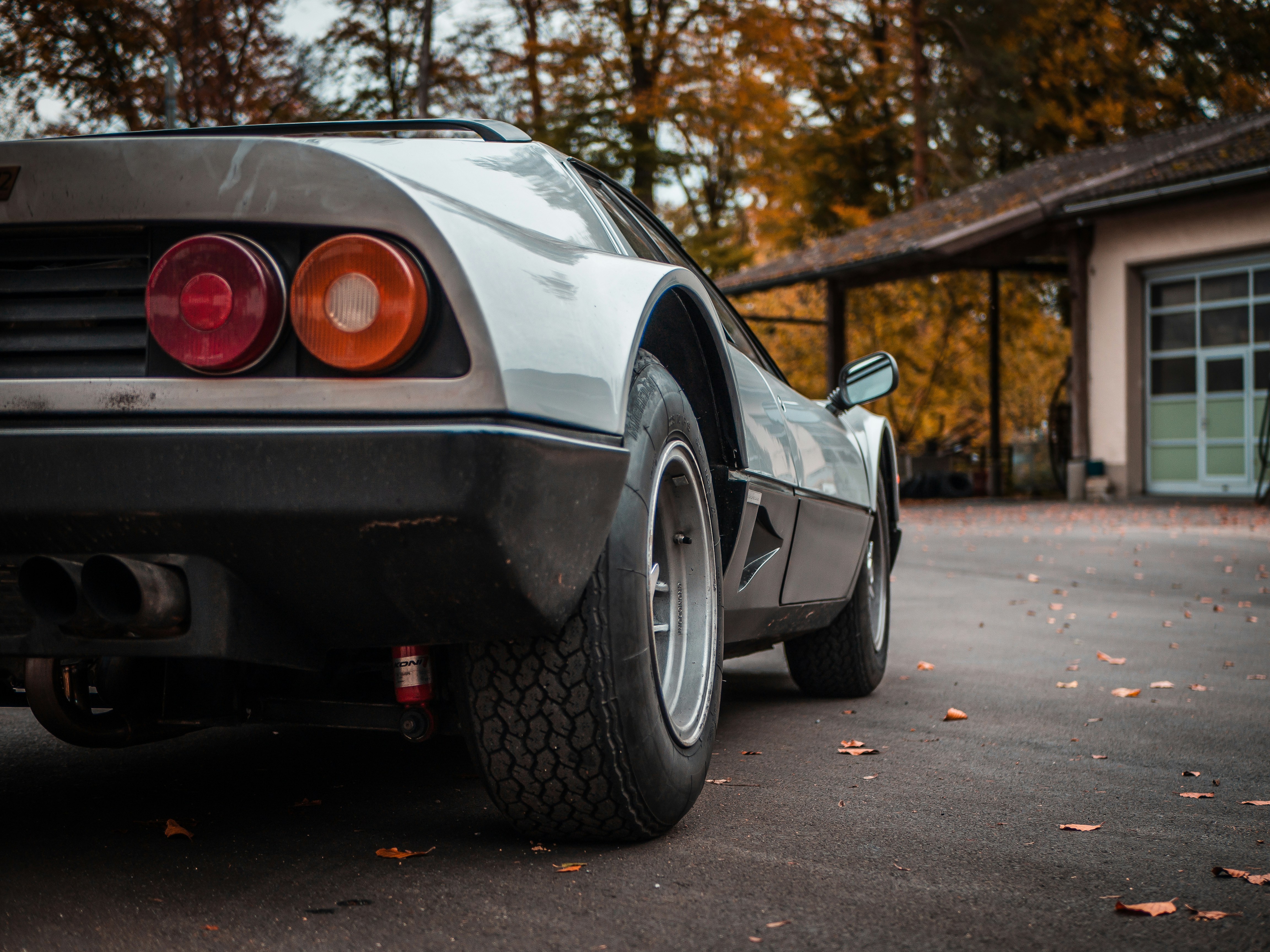 Photo by karim_fox_photography