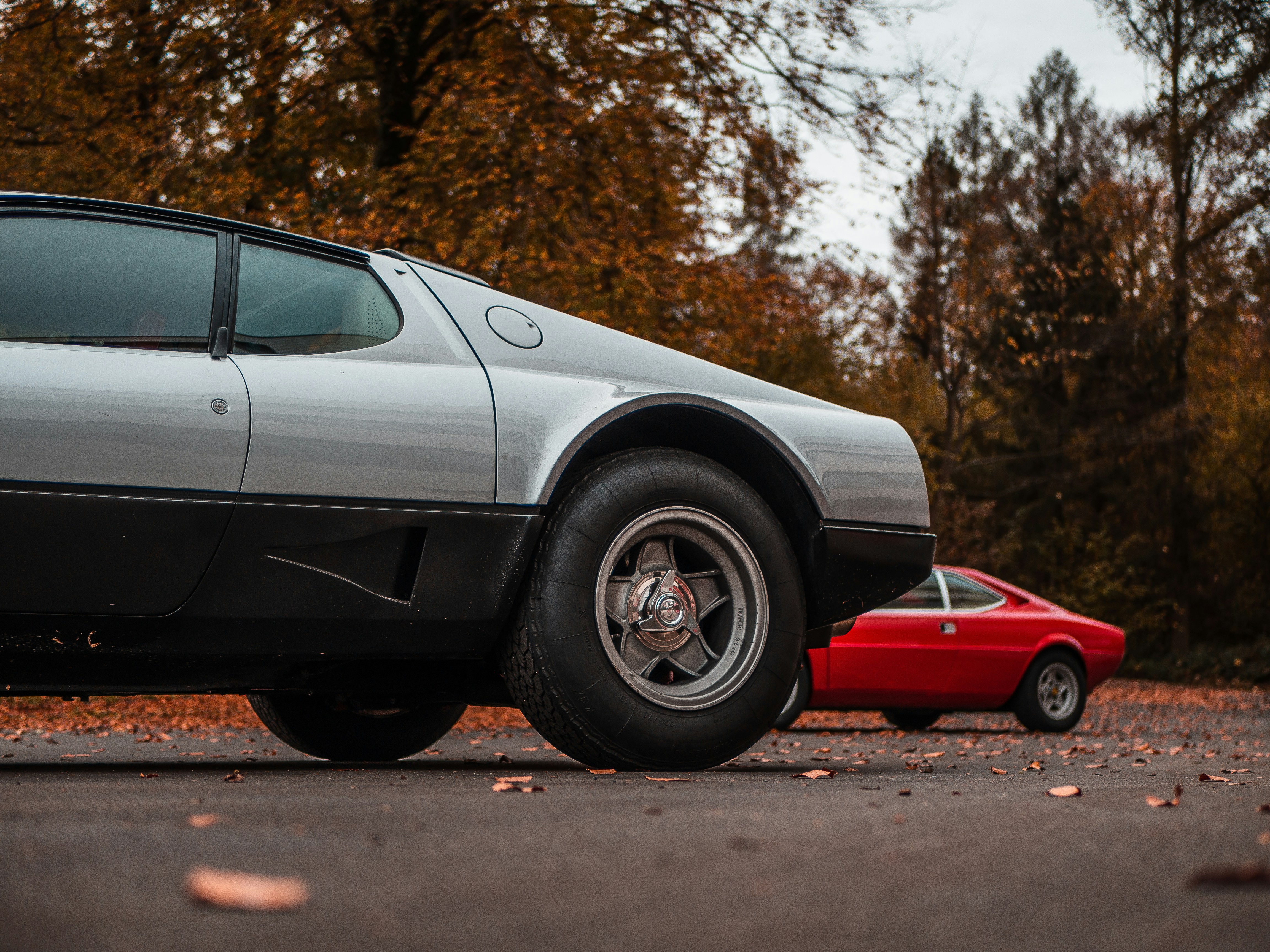 Photo by karim_fox_photography