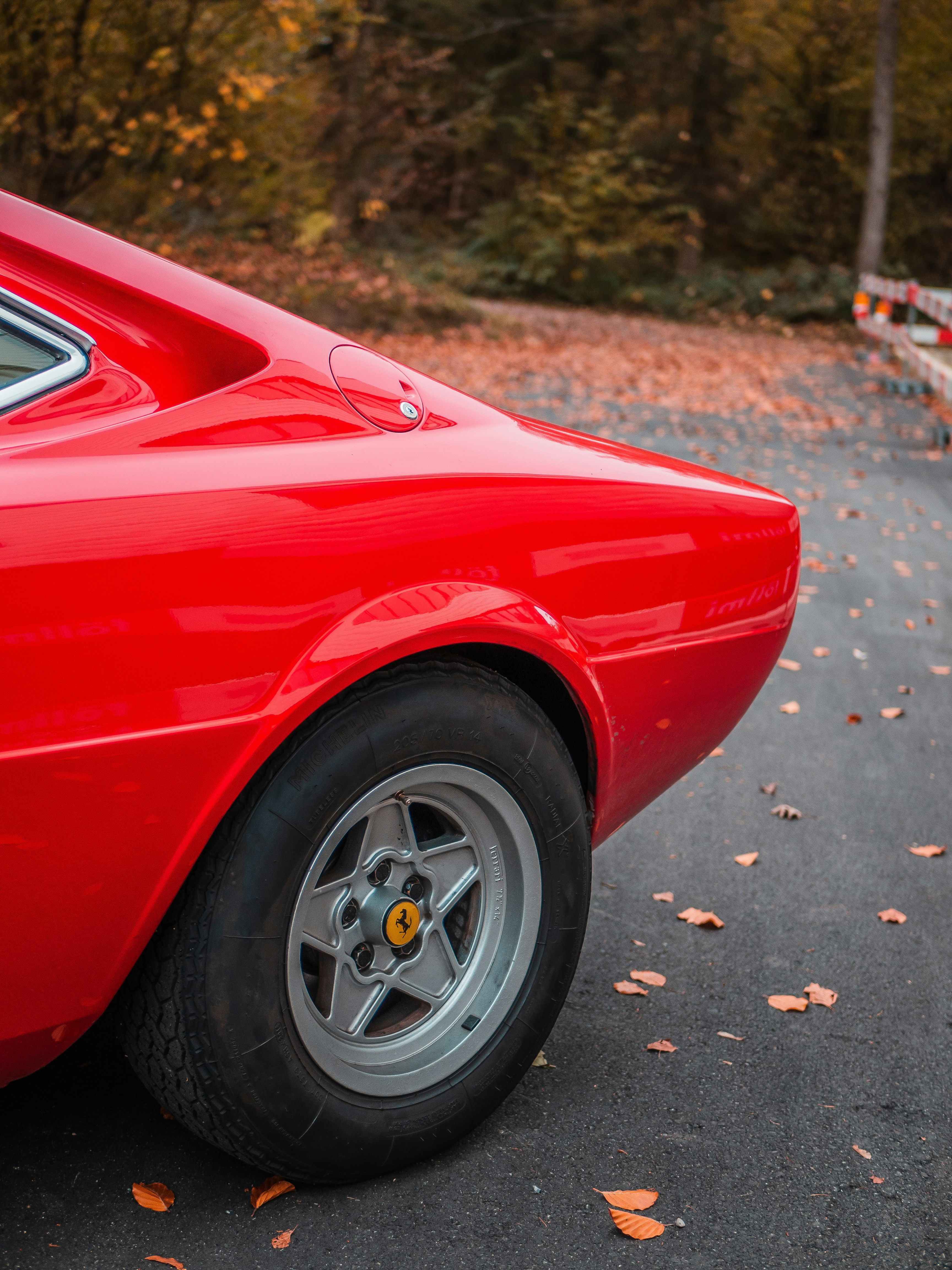 Photo by karim_fox_photography