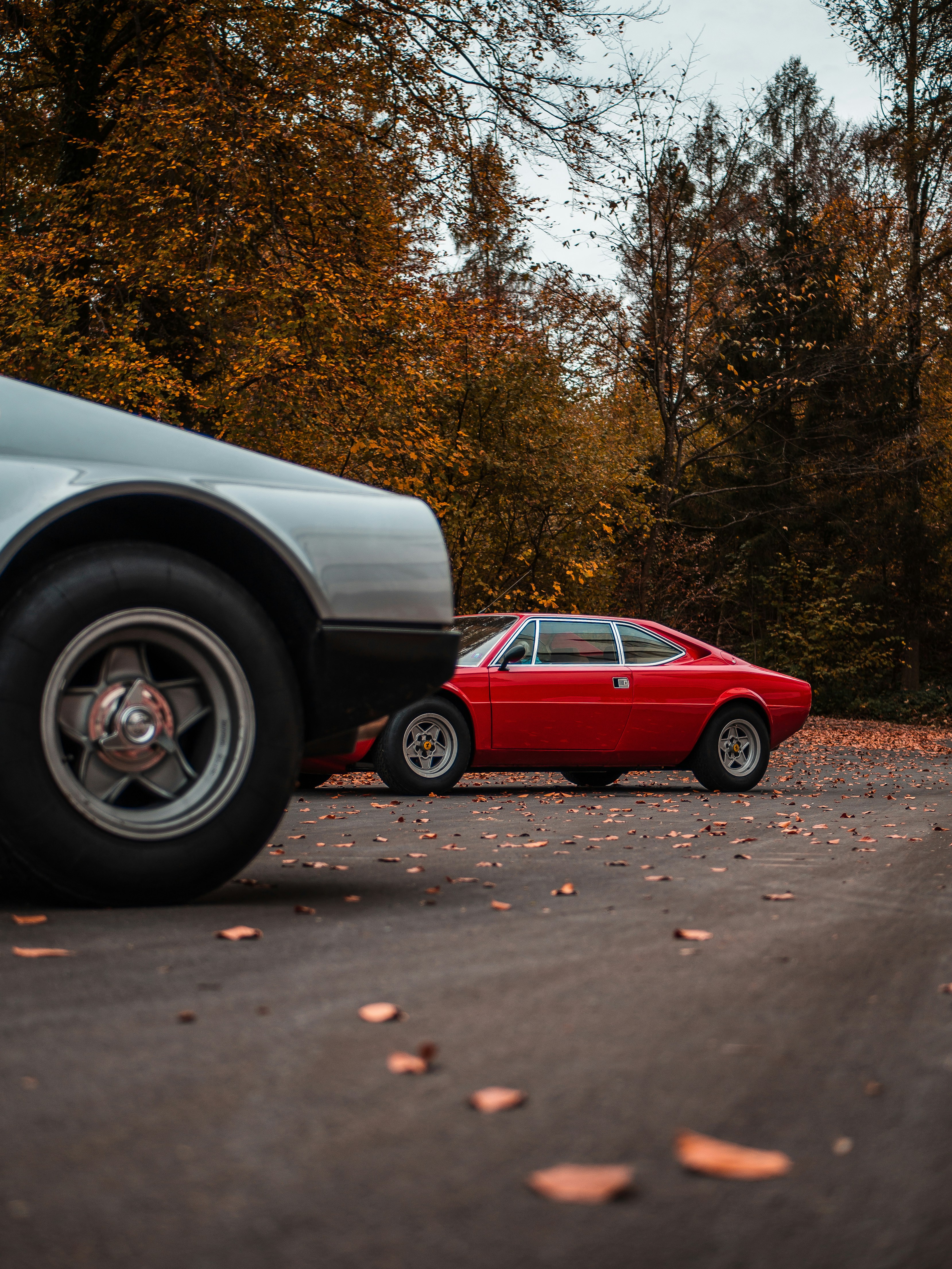 Photo by karim_fox_photography