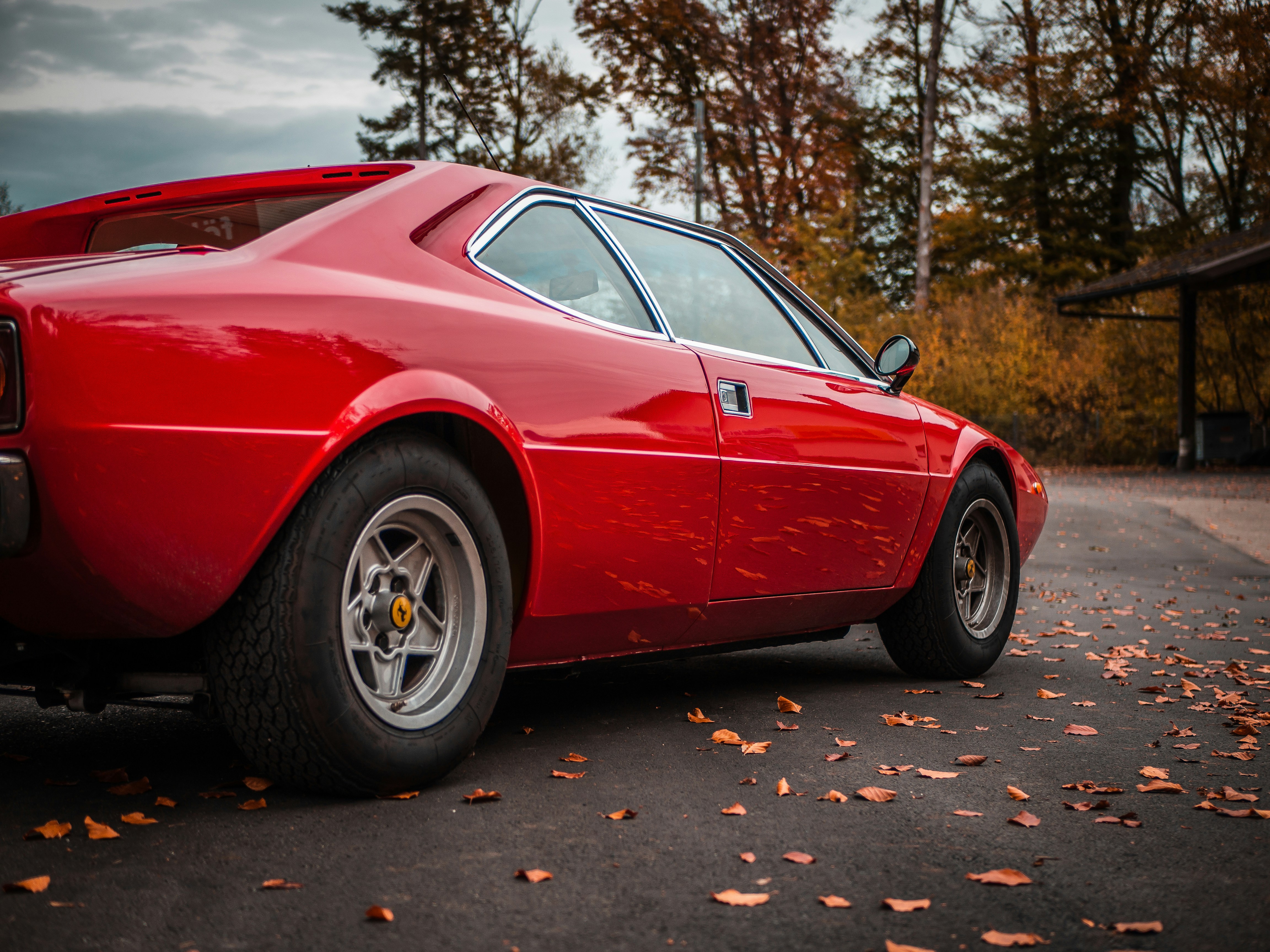 Photo by karim_fox_photography