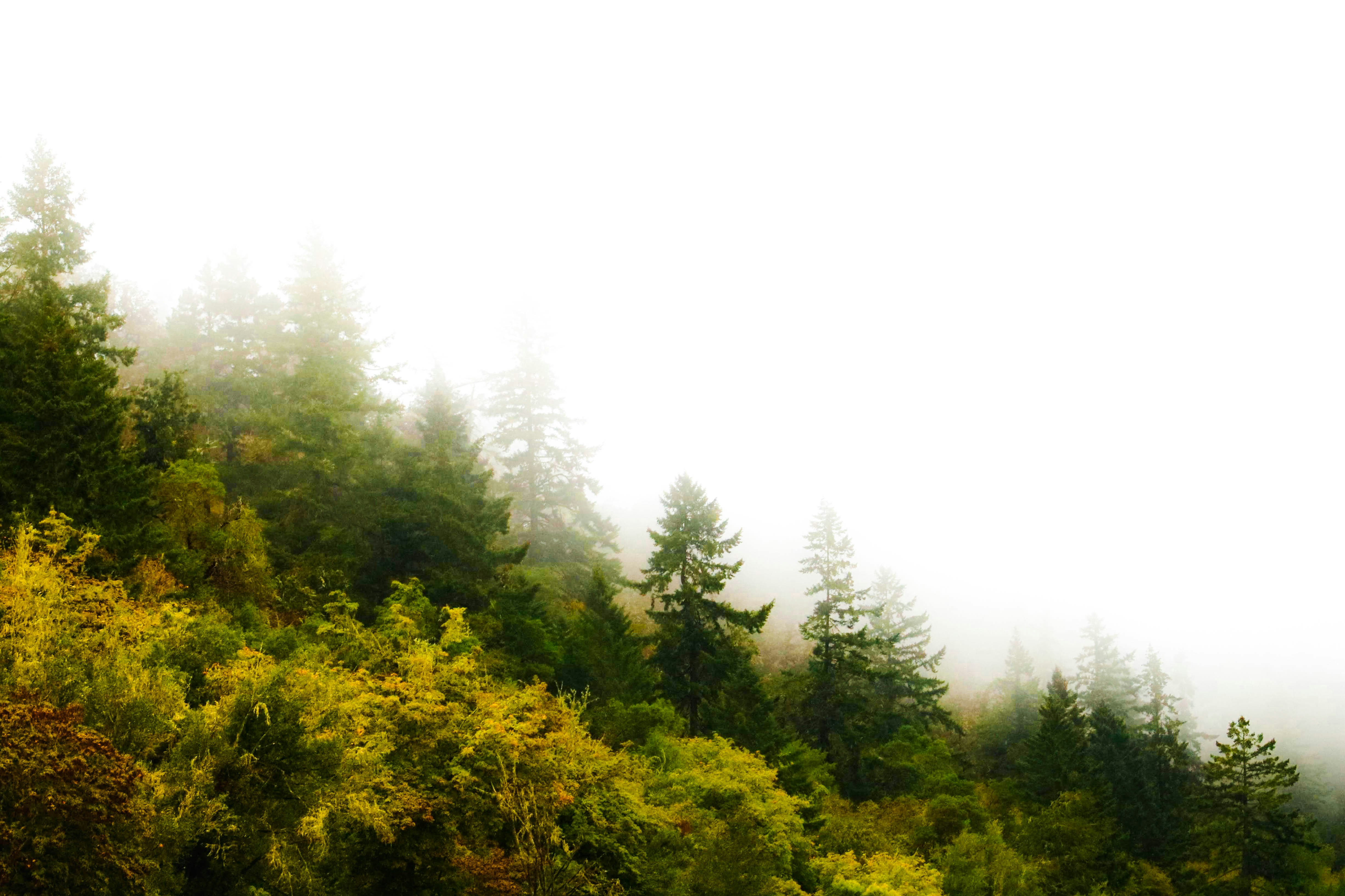 Photo by davidjboozer