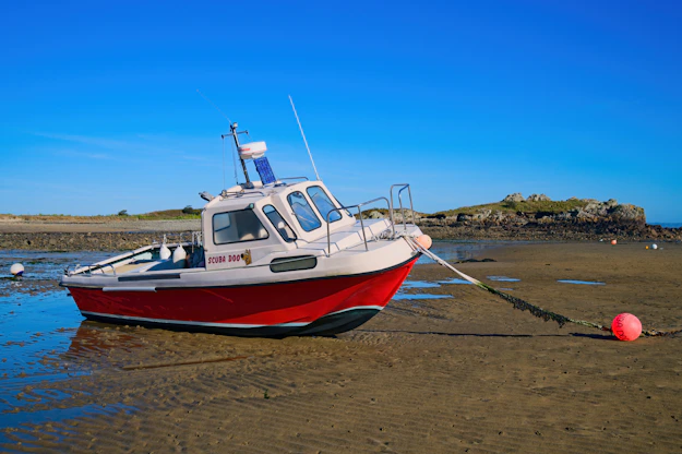 a boat on the beach