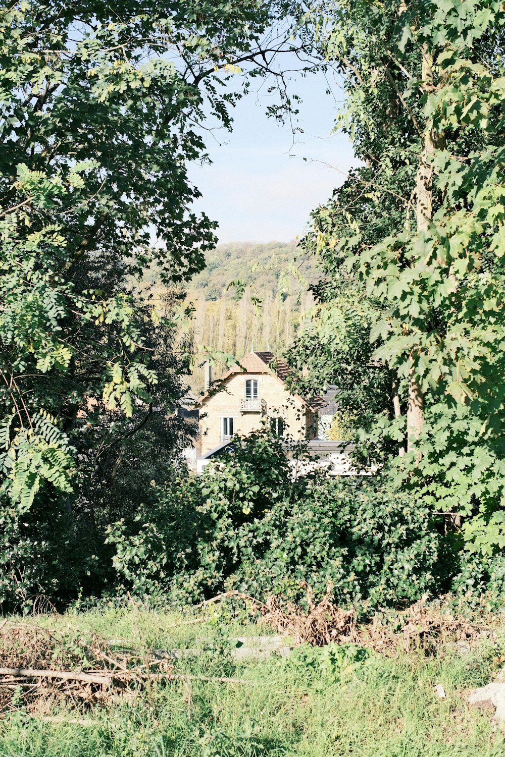 a house in the woods