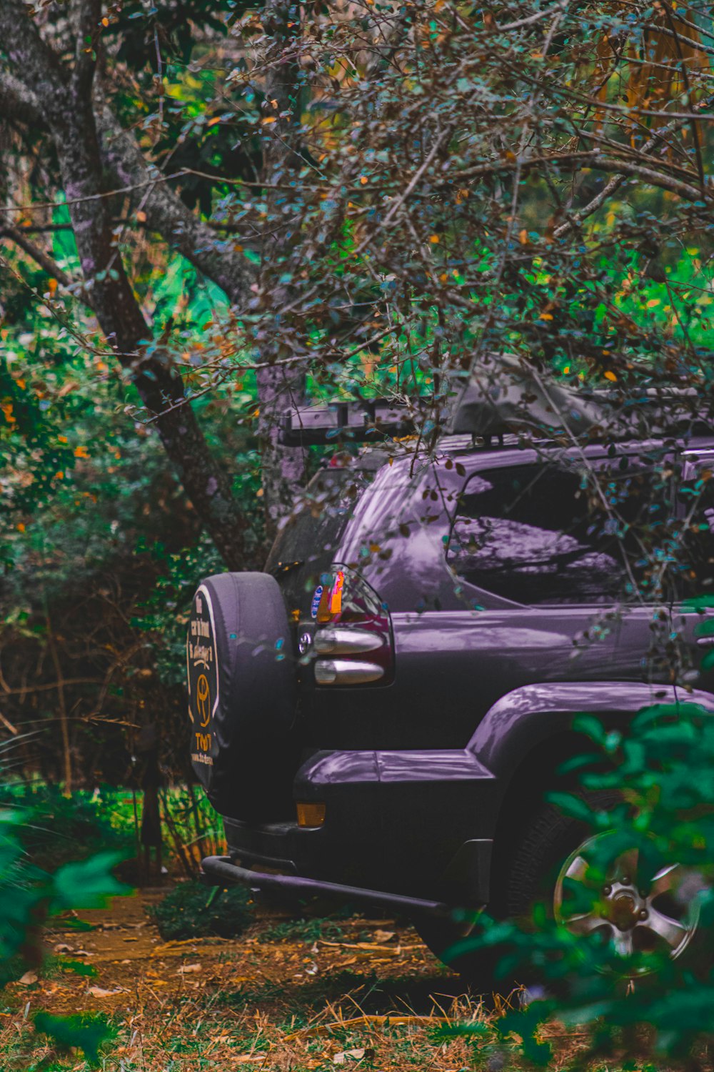 un'auto parcheggiata in una zona boschiva