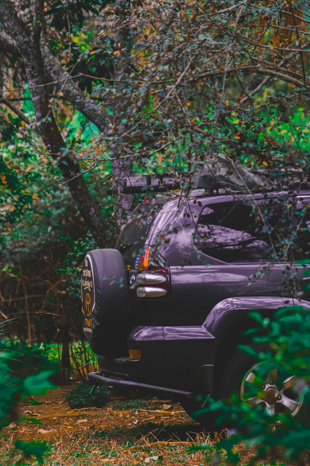 a car parked in a wooded area