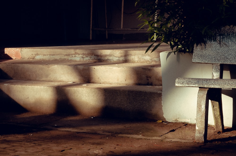 a bench sits unoccupied