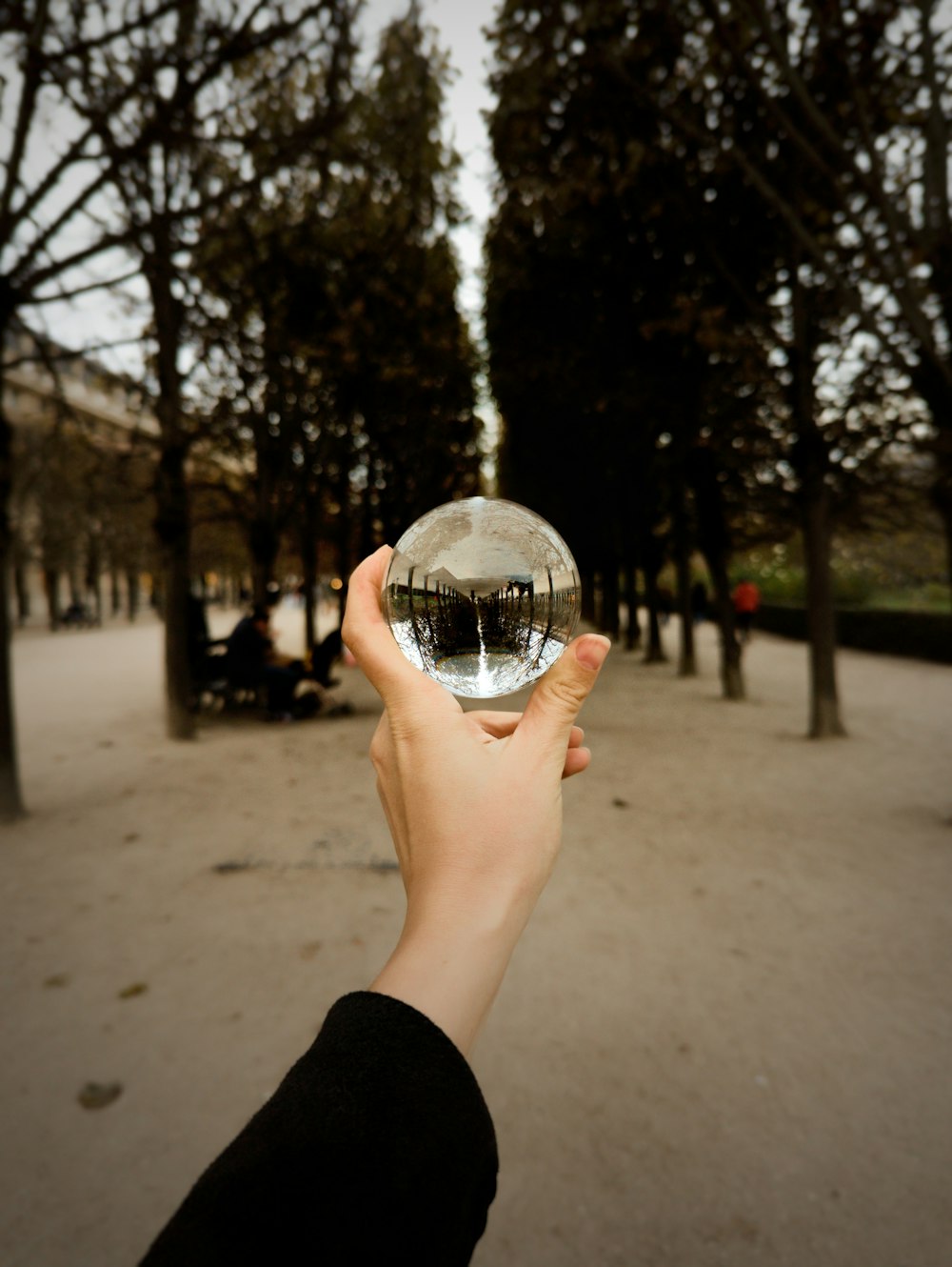 a hand holding a glass of water