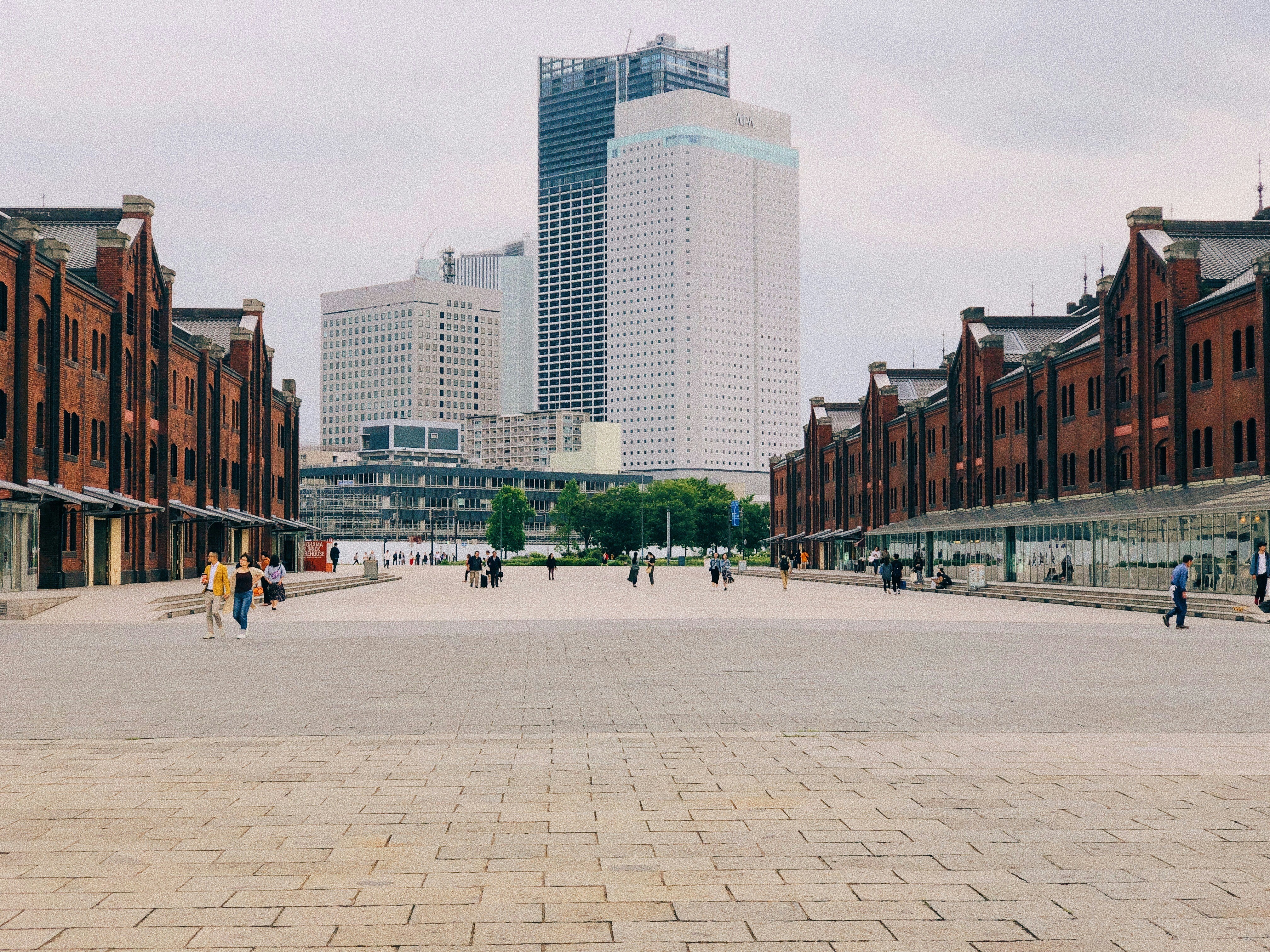 Photo by yungchi1104