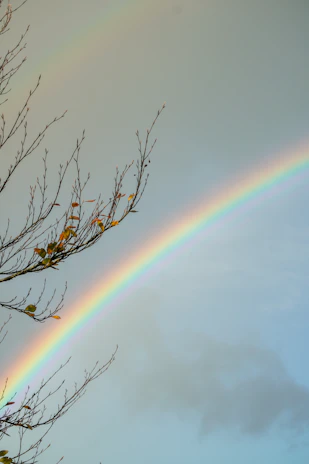 A vivid rainbow arching across a clear blue sky after a rain shower.