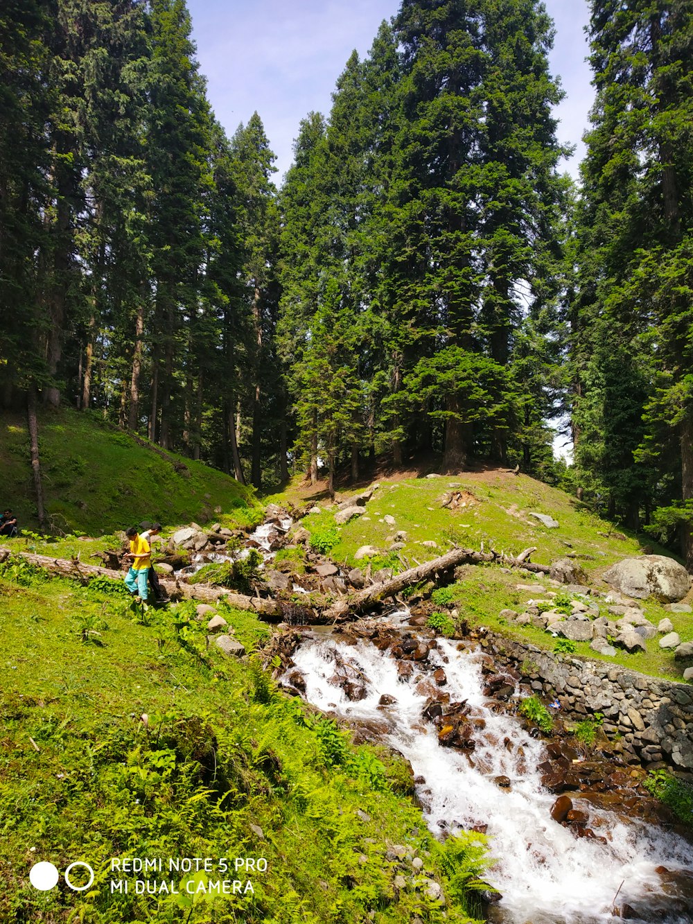 a person standing on a rocky hillside