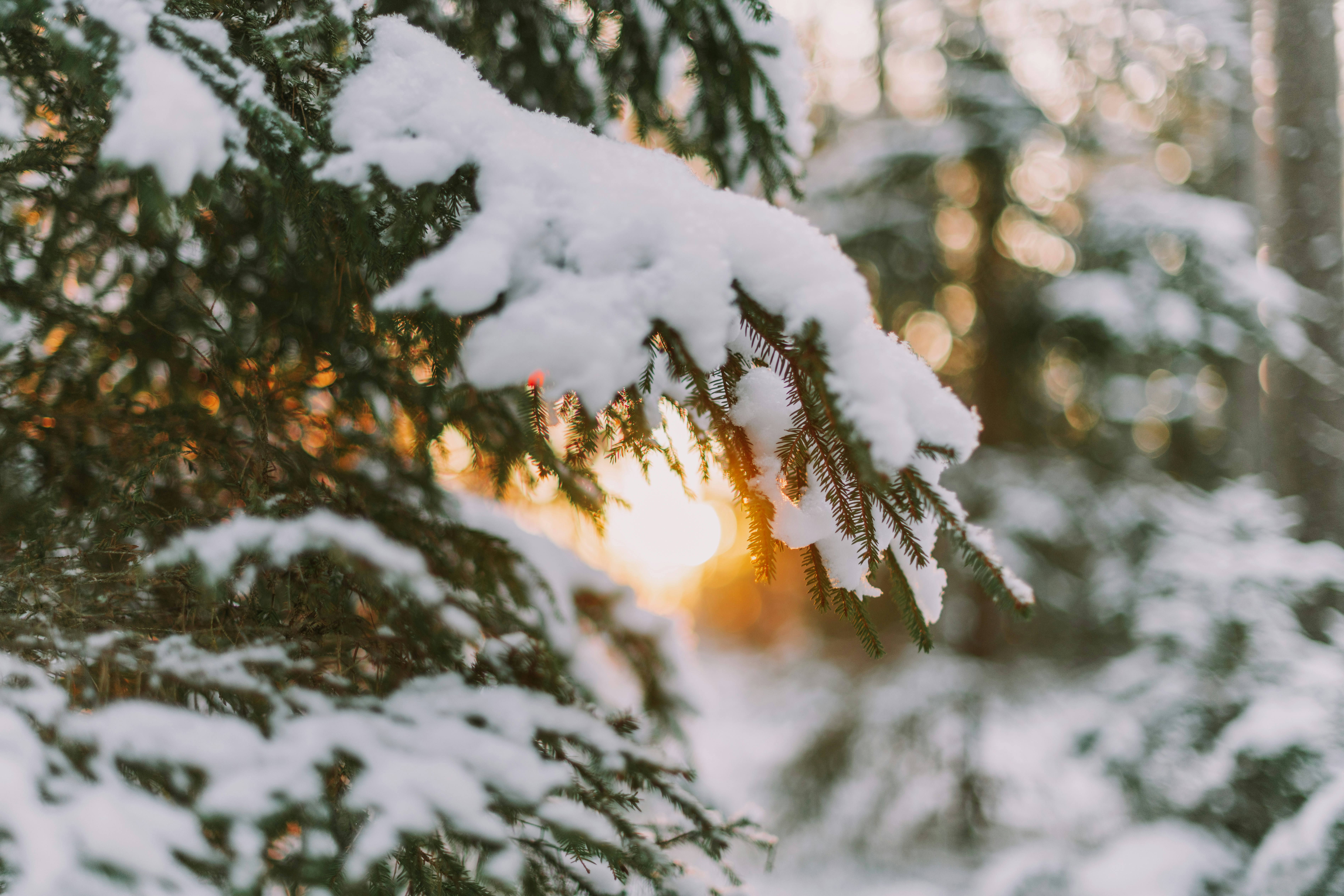 Photo by anitaaustvika