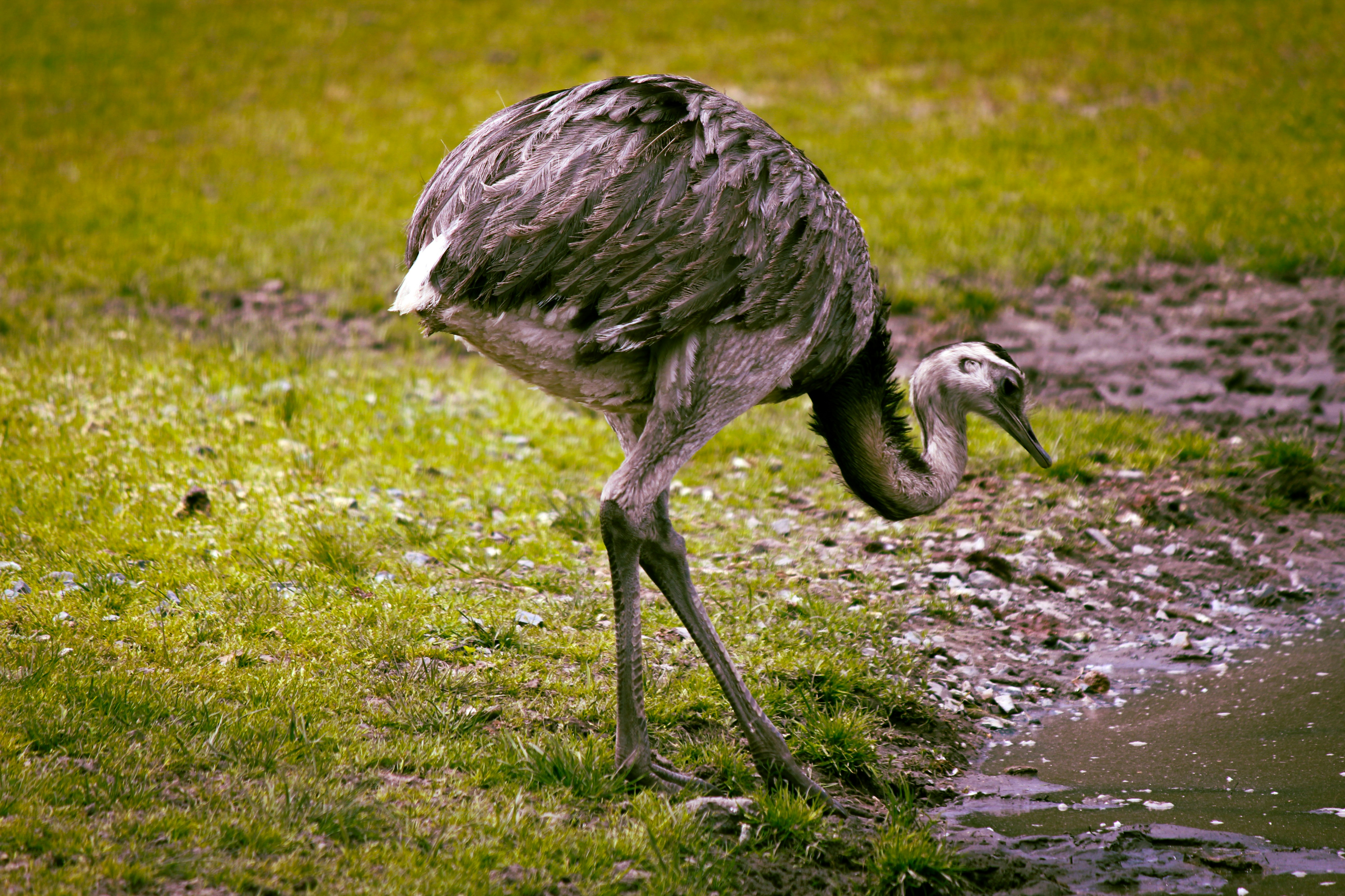 Photo by hasnainsikora