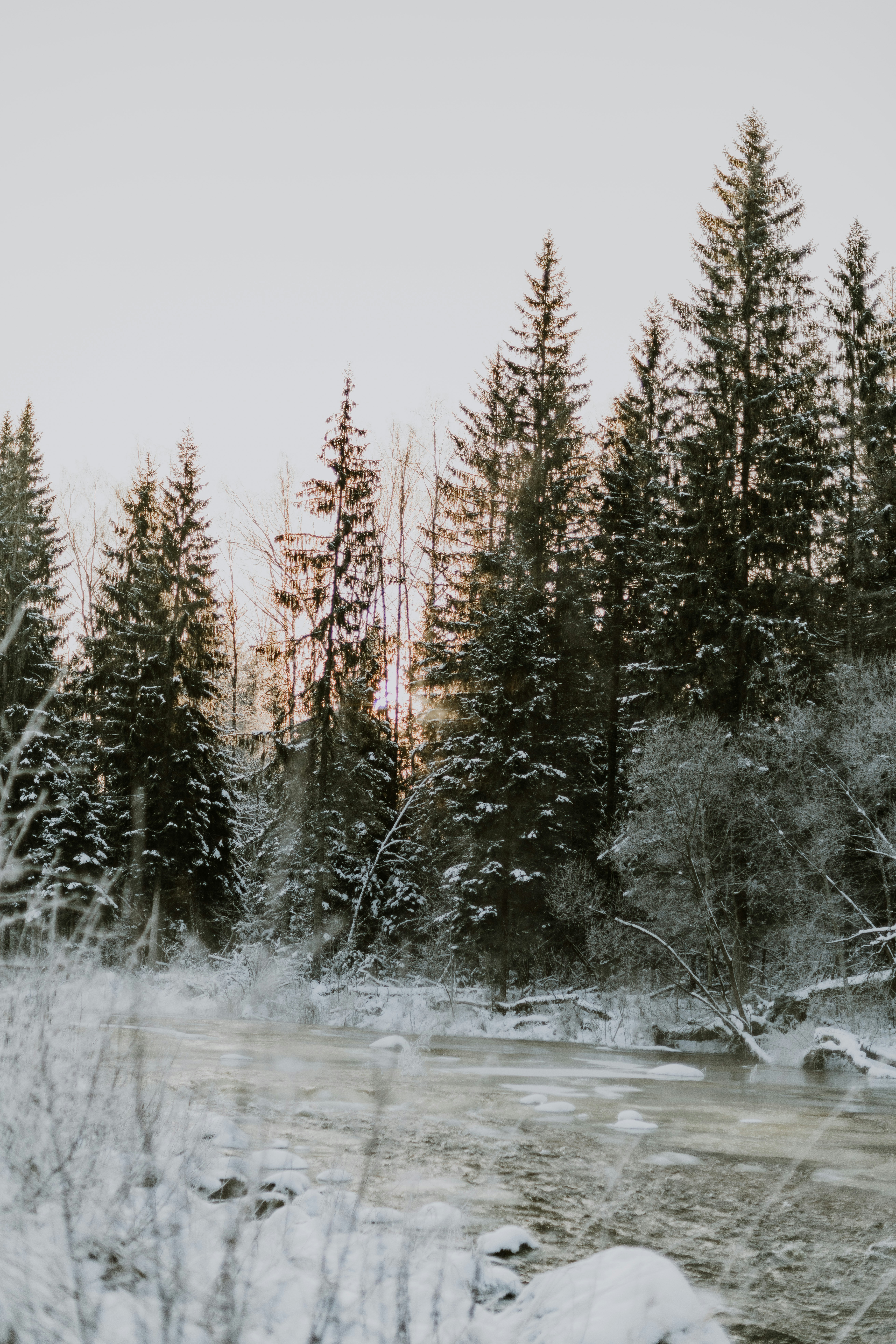 Photo by anitaaustvika