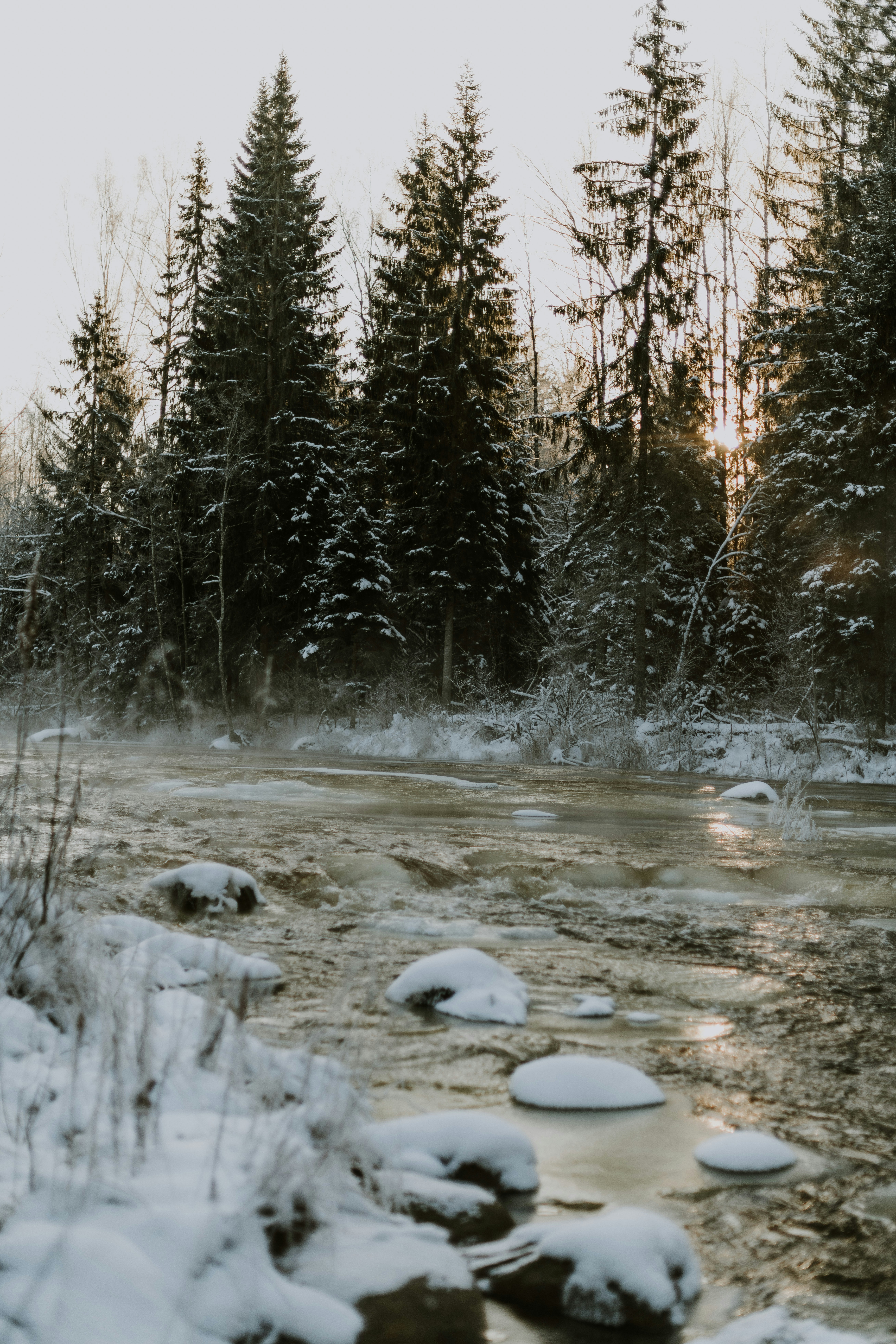 Photo by anitaaustvika