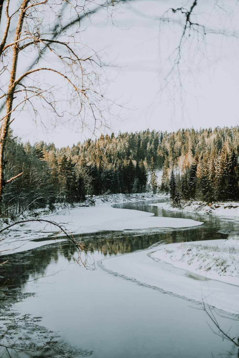 a river with snow and trees