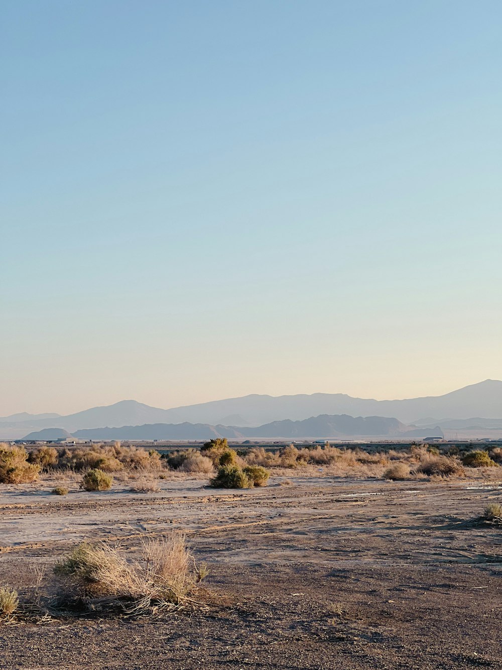 a desert landscape with bushes and mountains in the background