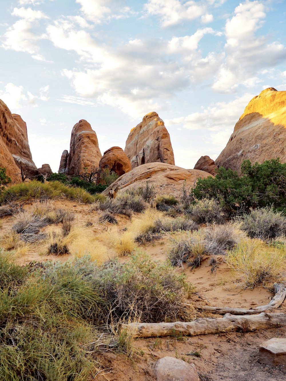 a desert landscape with tall rocks