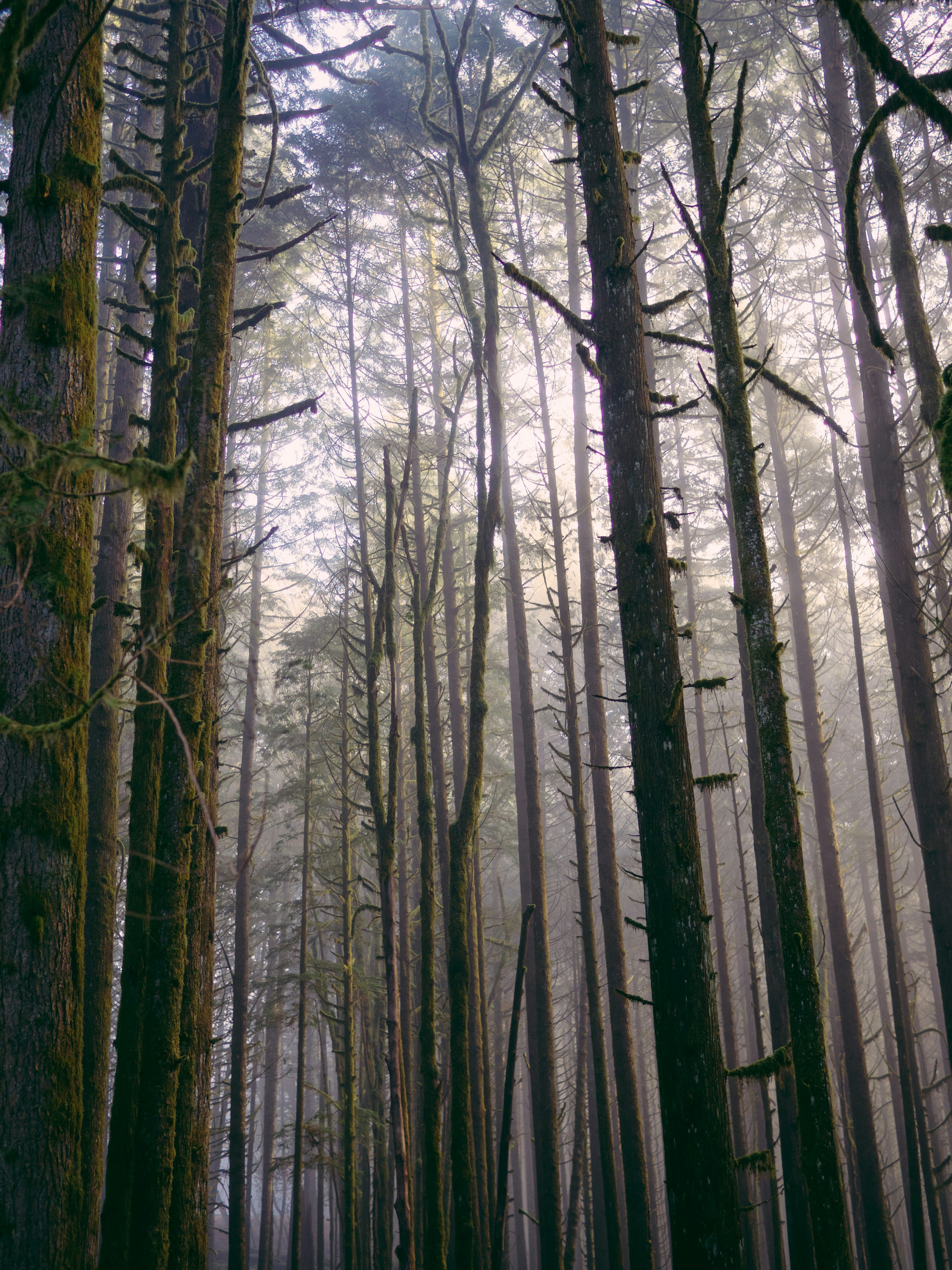 Photo by daviesalice