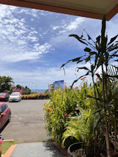 A vibrant canam parked near tropical trees under a bright blue sky.