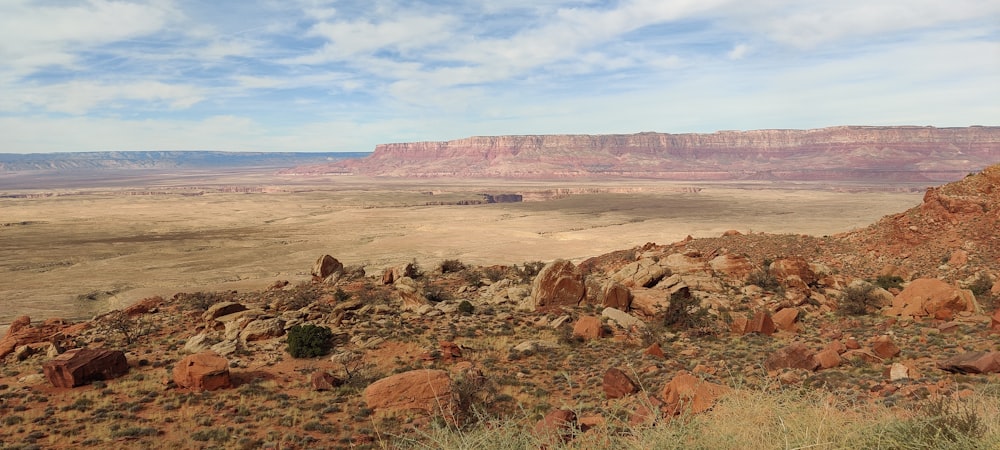 a desert landscape with rocks