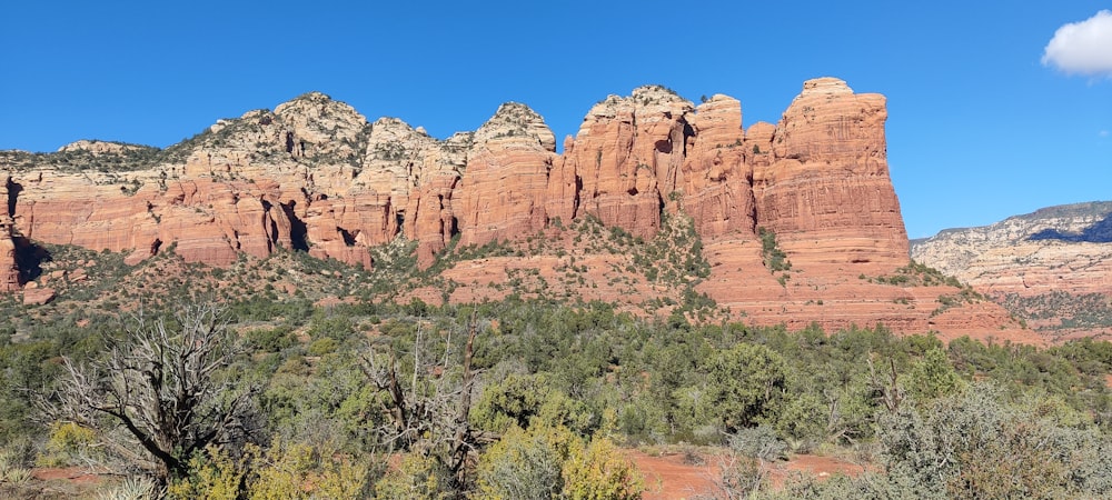 a rocky mountain with trees in front of it