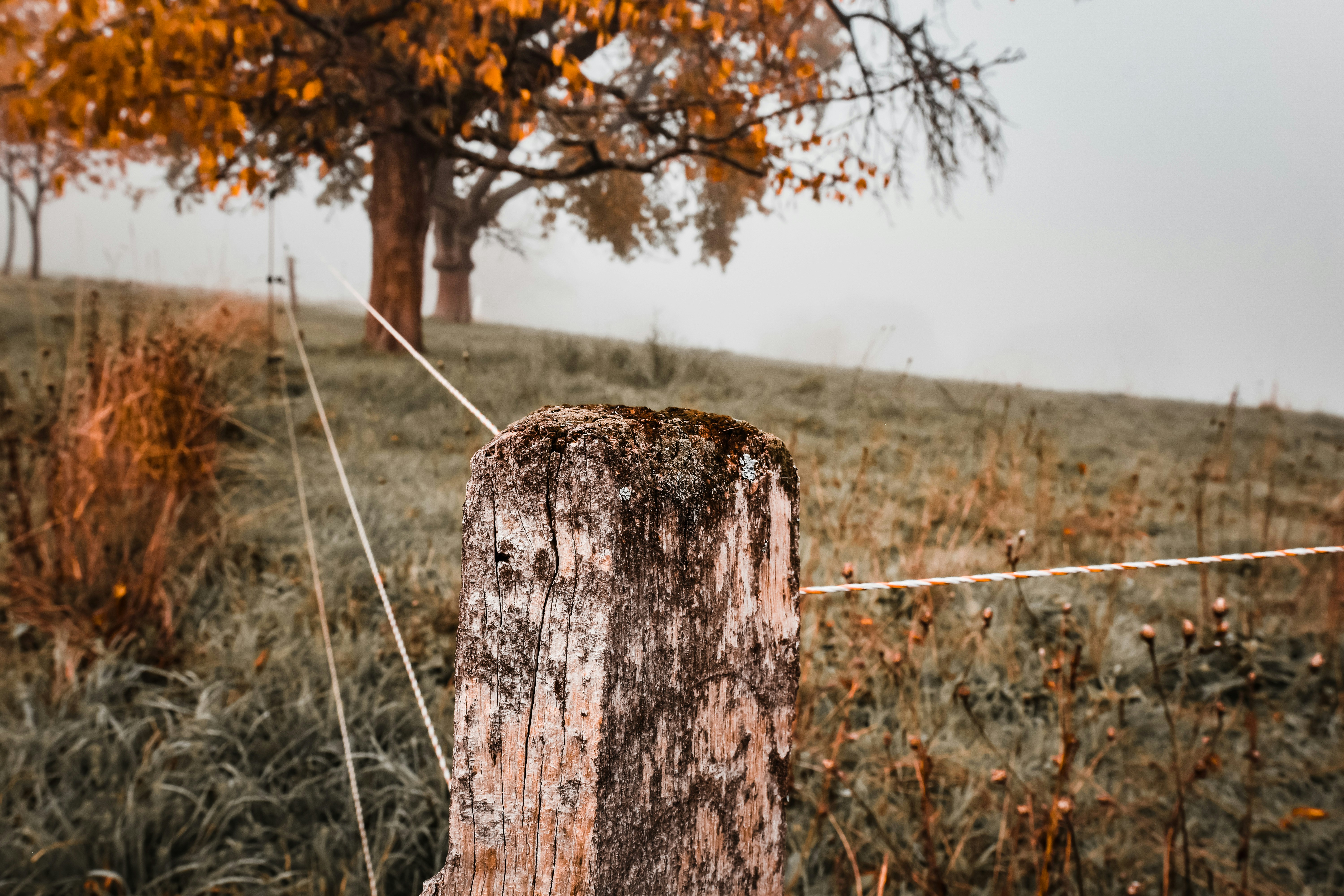 Photo by lauravalkyrja