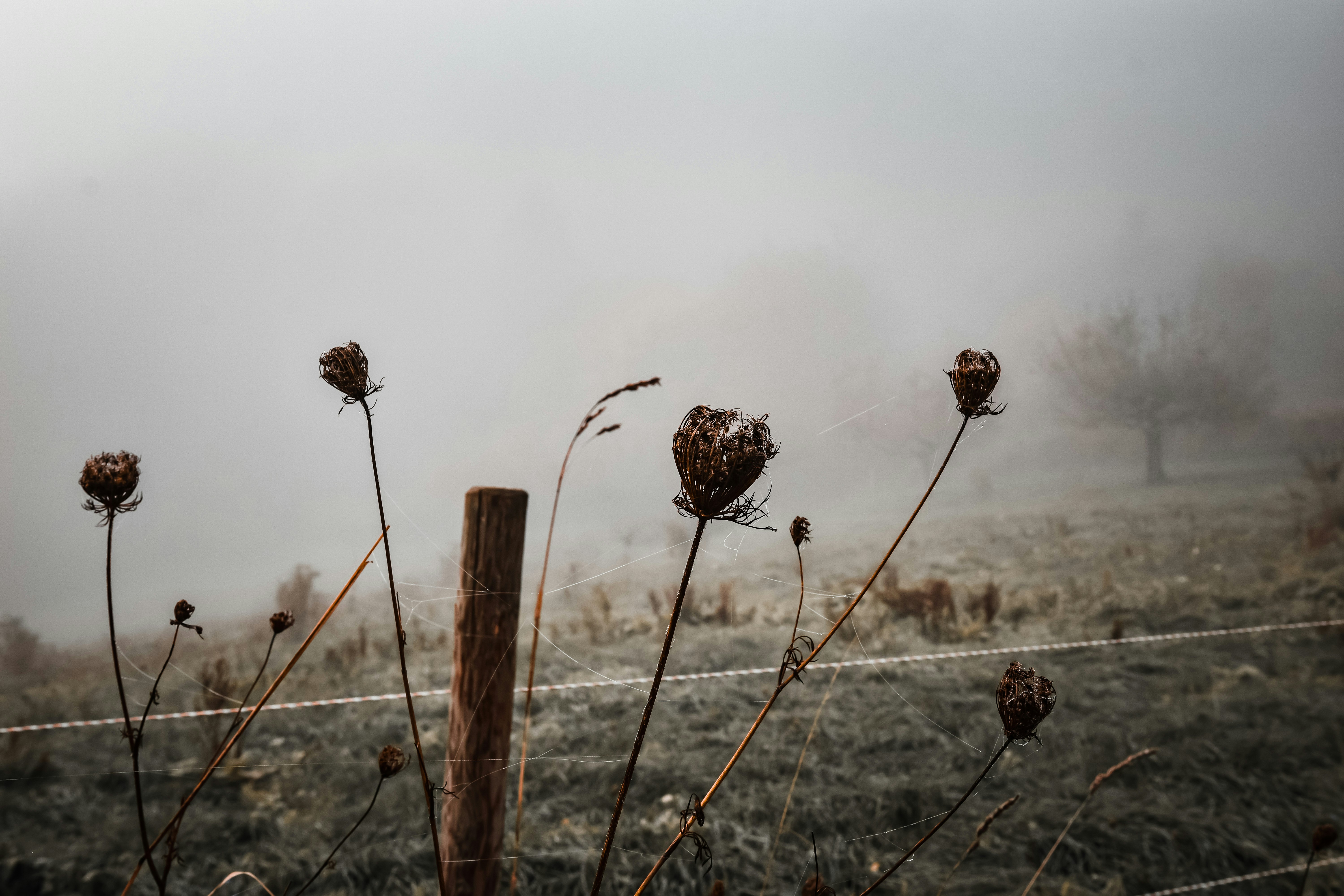 Photo by lauravalkyrja